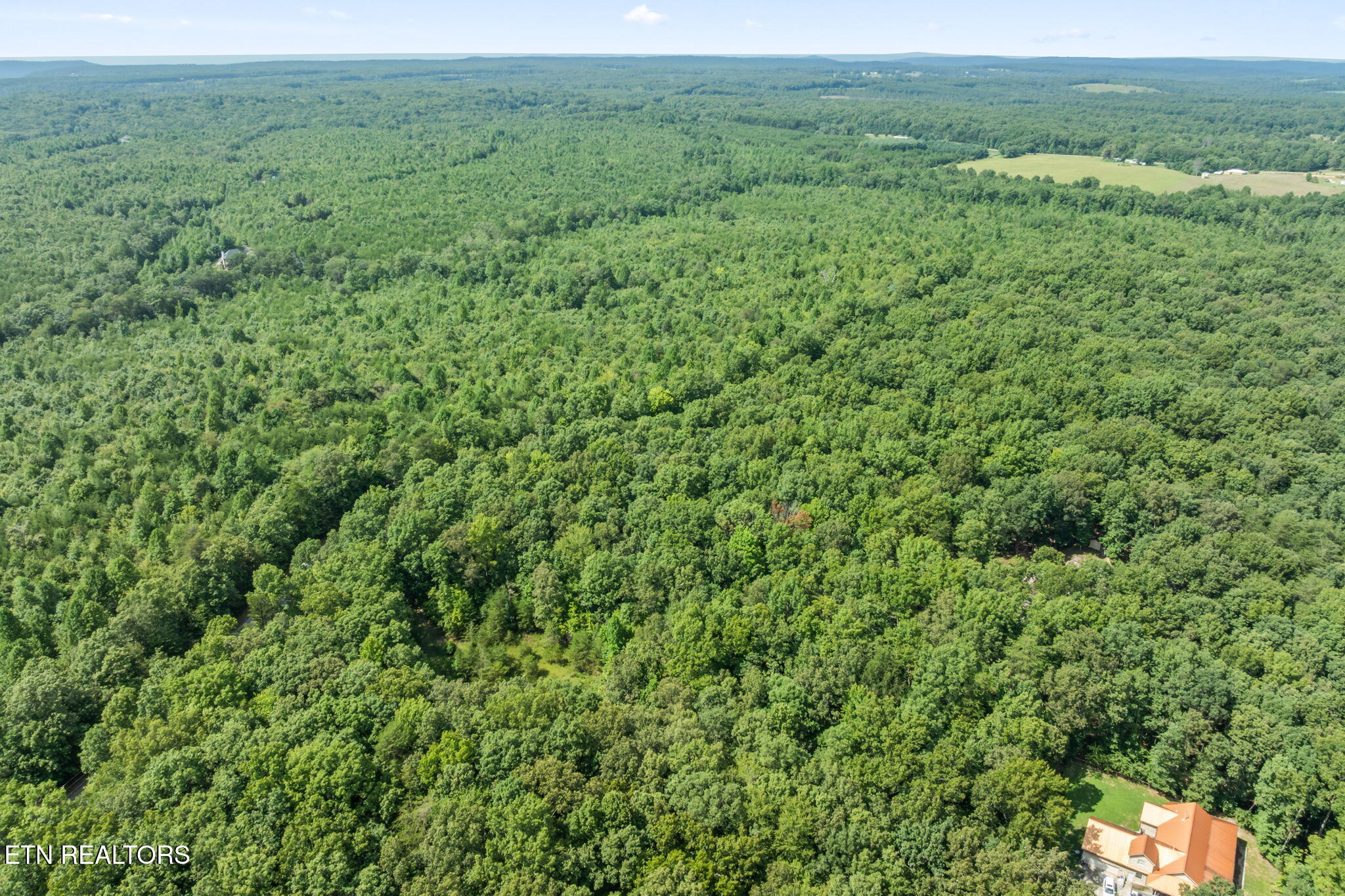 Lot 21 Hawks Bluff Road Spencer TN 38585