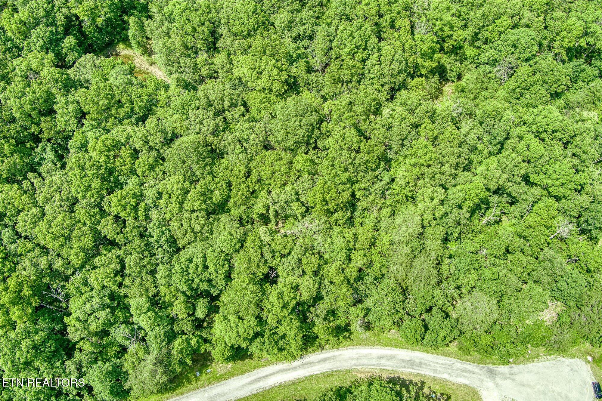 0 Hemlock Lane Spencer TN 38585