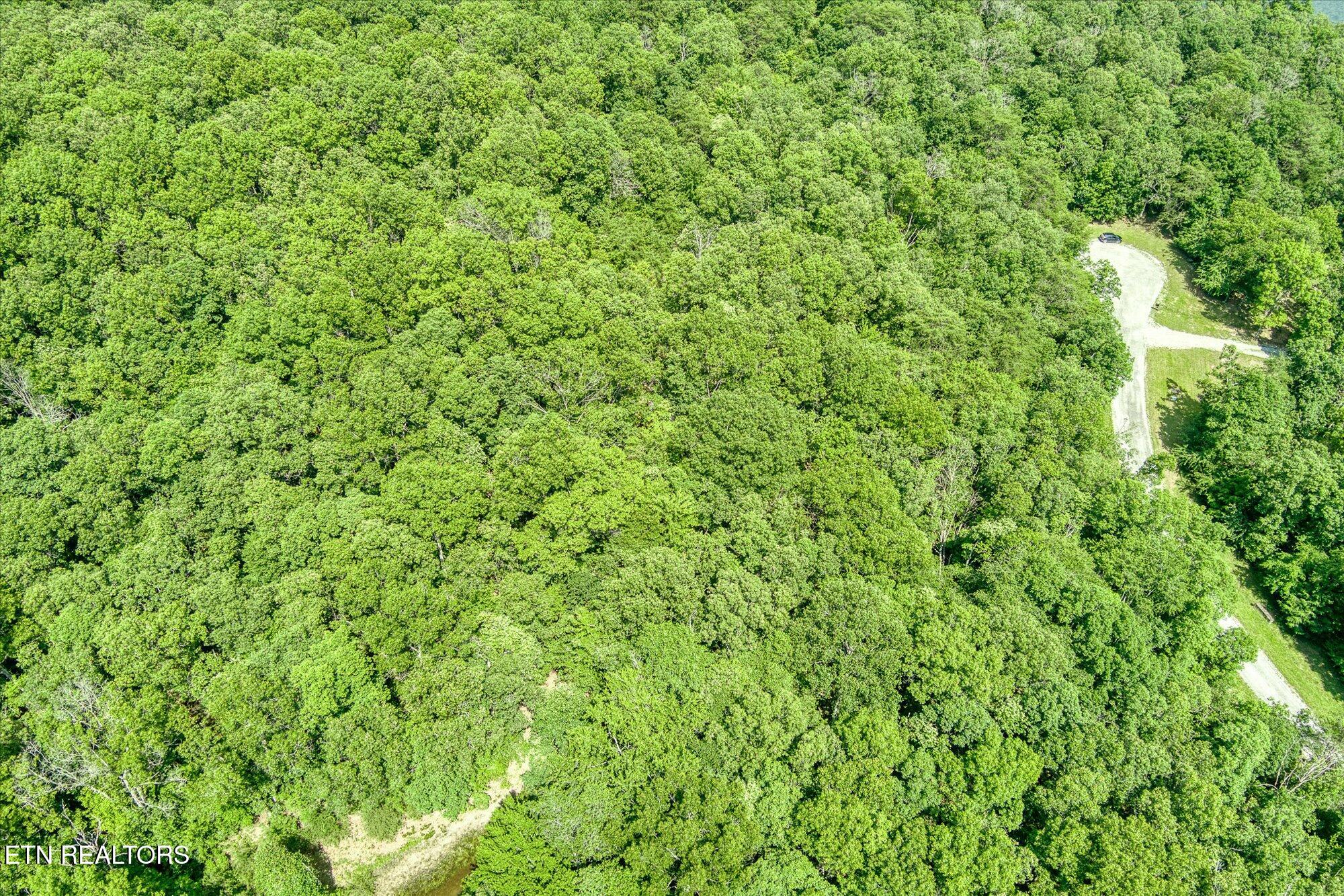 0 Hemlock Lane Spencer TN 38585