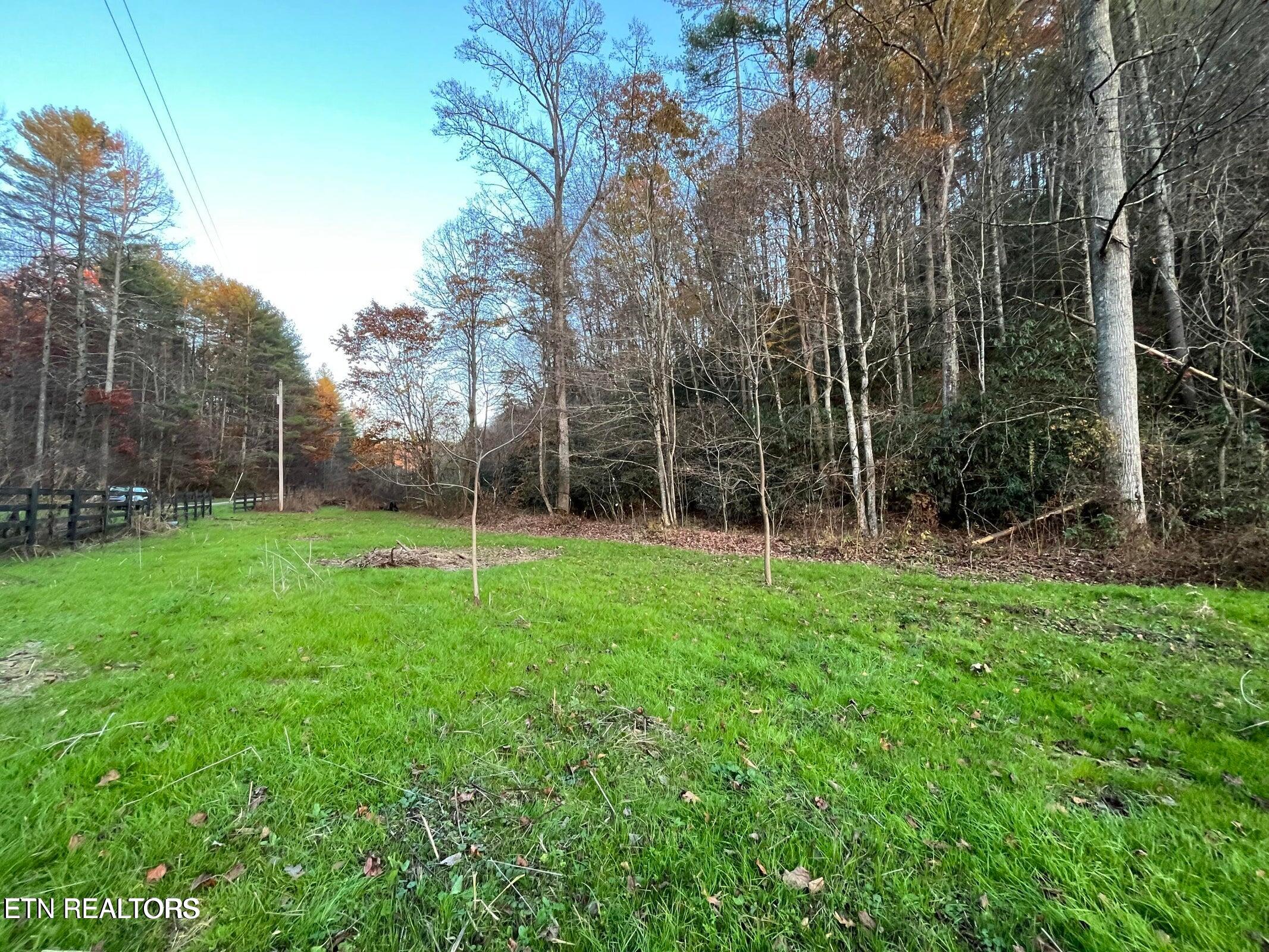 948 Hedge Maple Lane Del Rio TN 37727