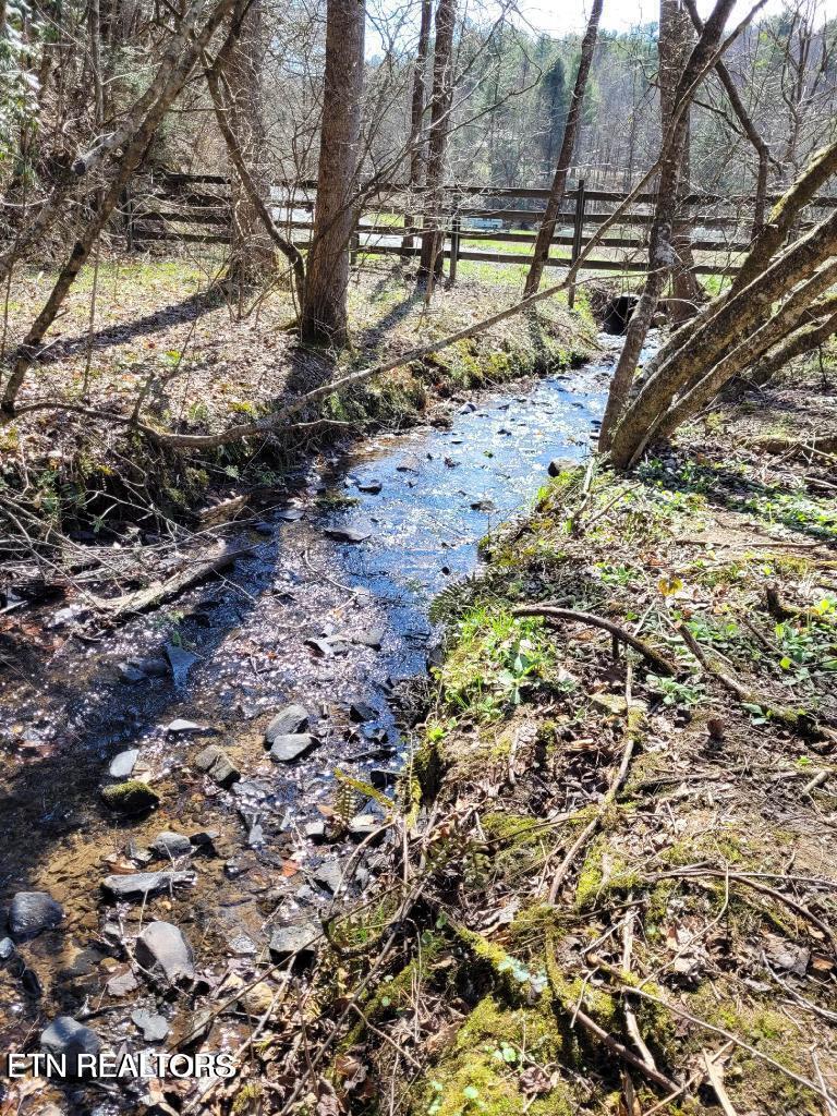 948 Hedge Maple Lane Del Rio TN 37727