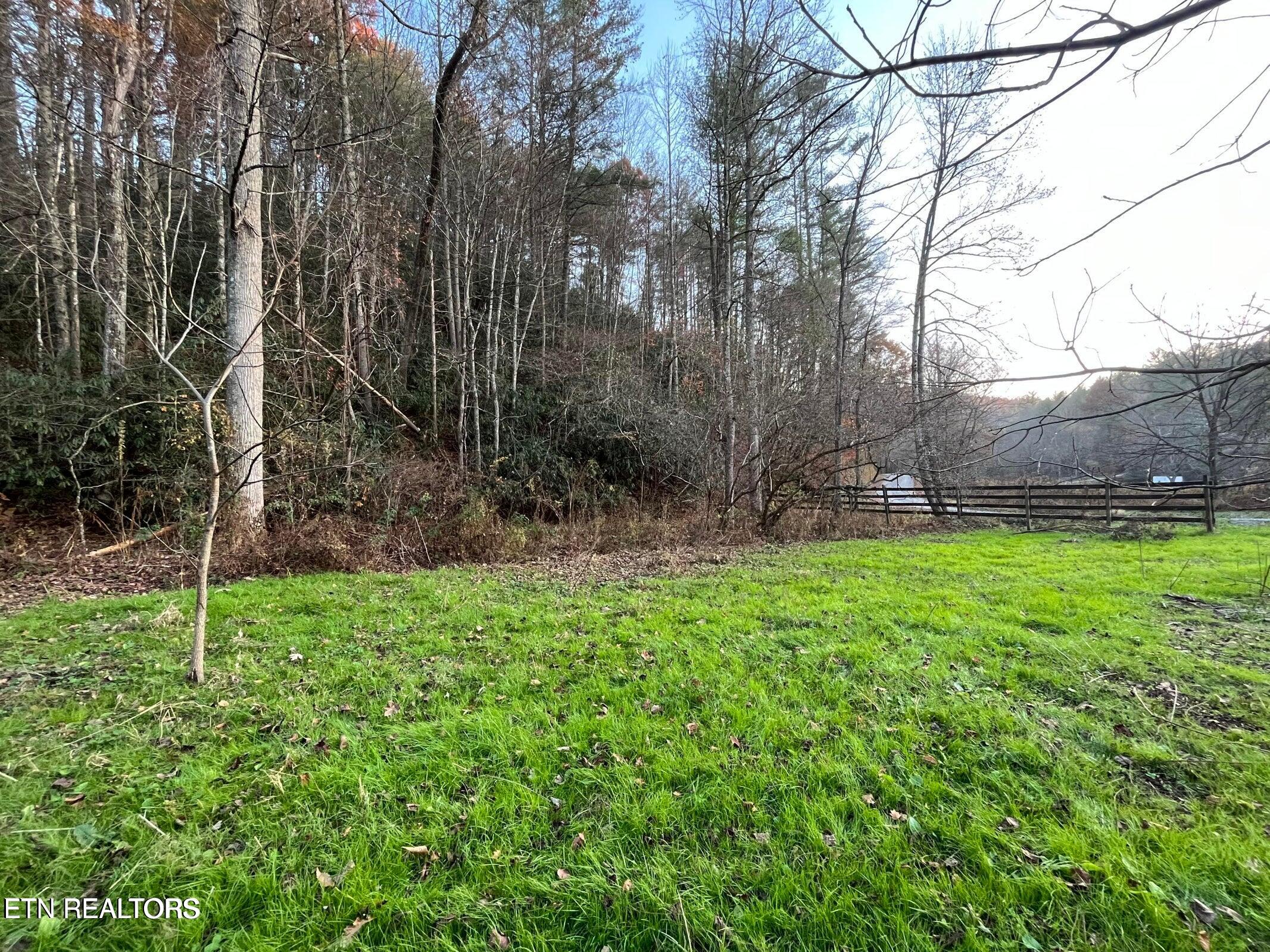 948 Hedge Maple Lane Del Rio TN 37727