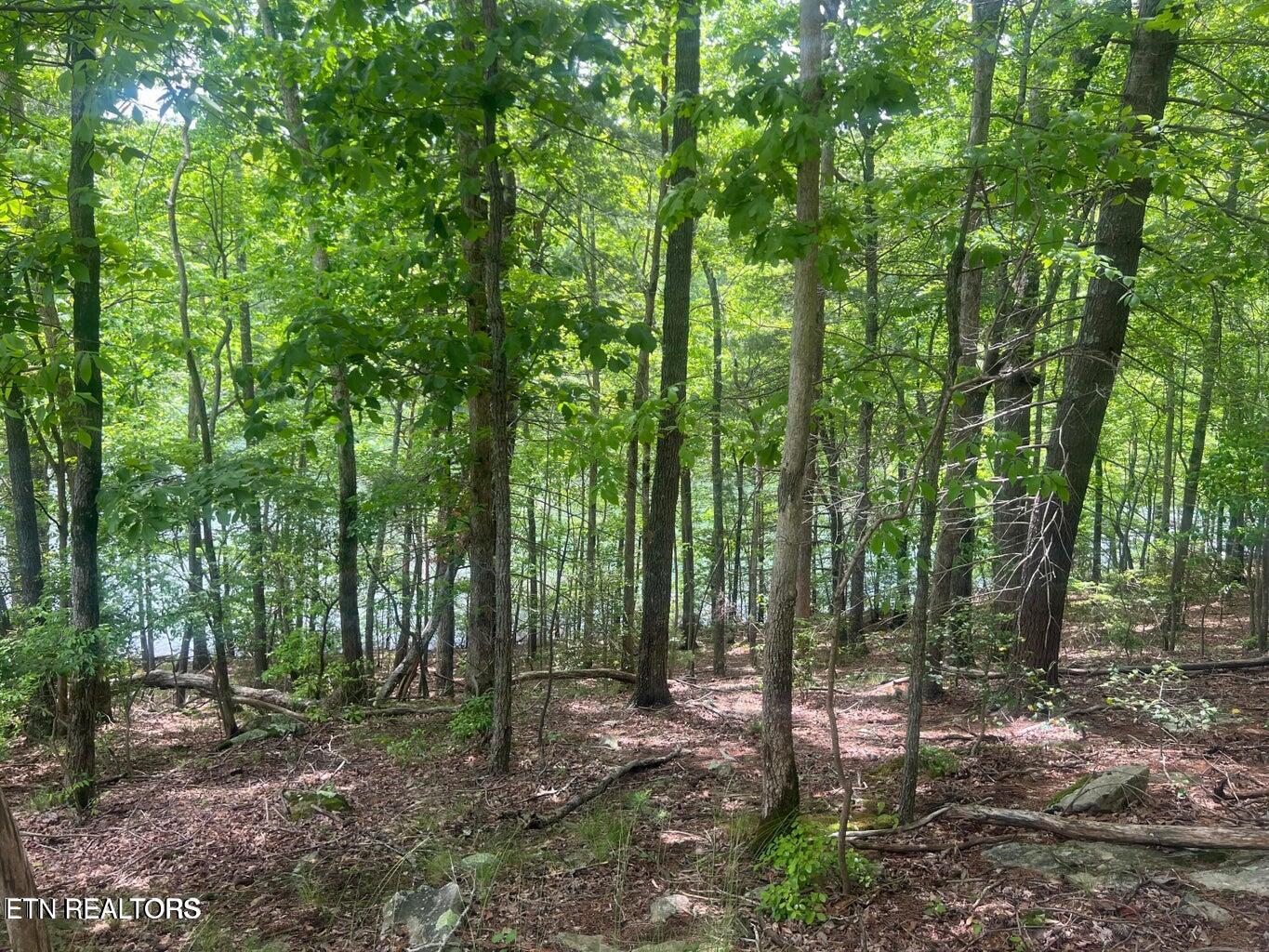 106 Chatham Lane Fairfield Glade TN 38558