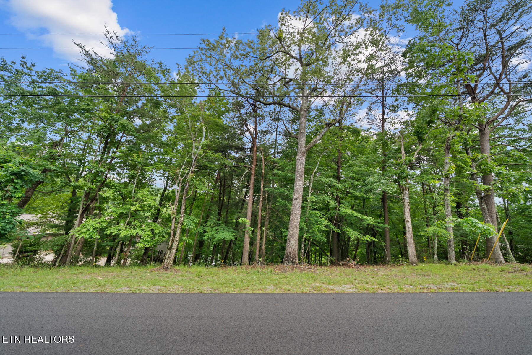 106 Chatham Lane Fairfield Glade TN 38558