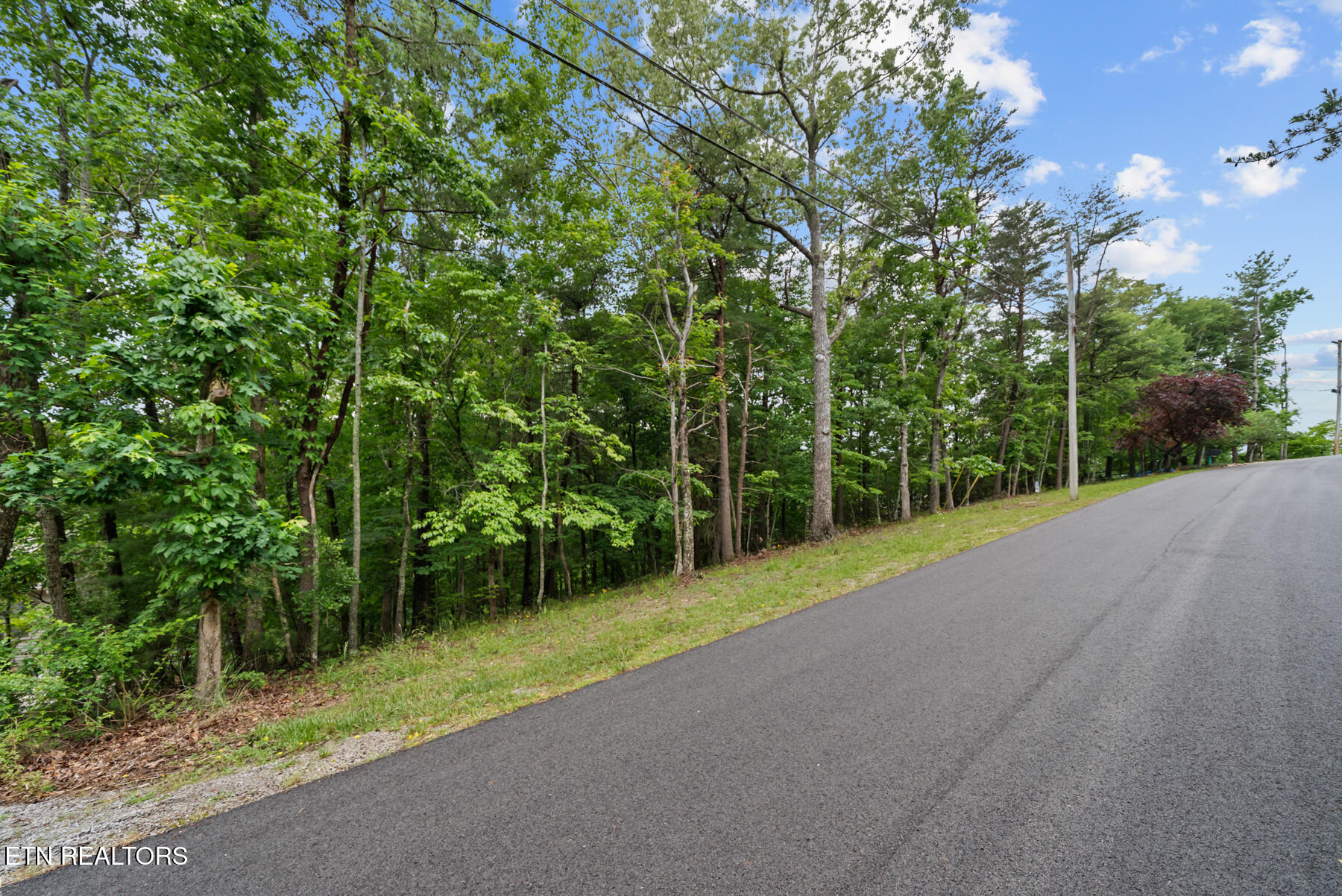 106 Chatham Lane Fairfield Glade TN 38558