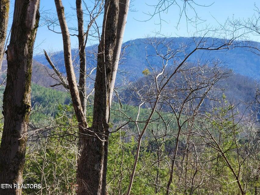 Highway 39e Englewood TN 37329