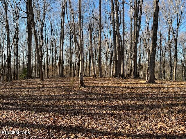 Highway 39e Englewood TN 37329