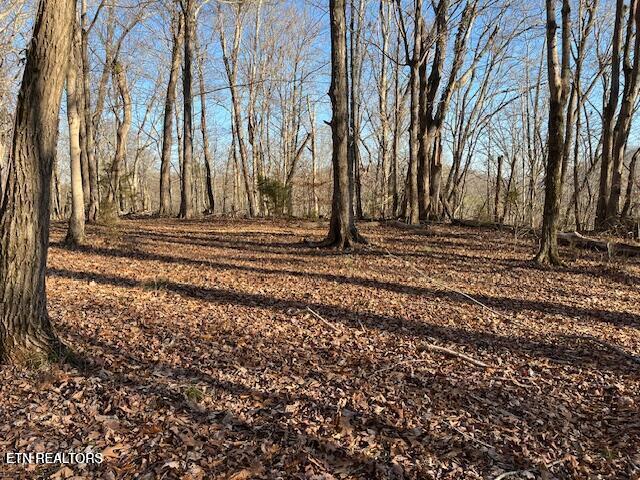 Highway 39e Englewood TN 37329