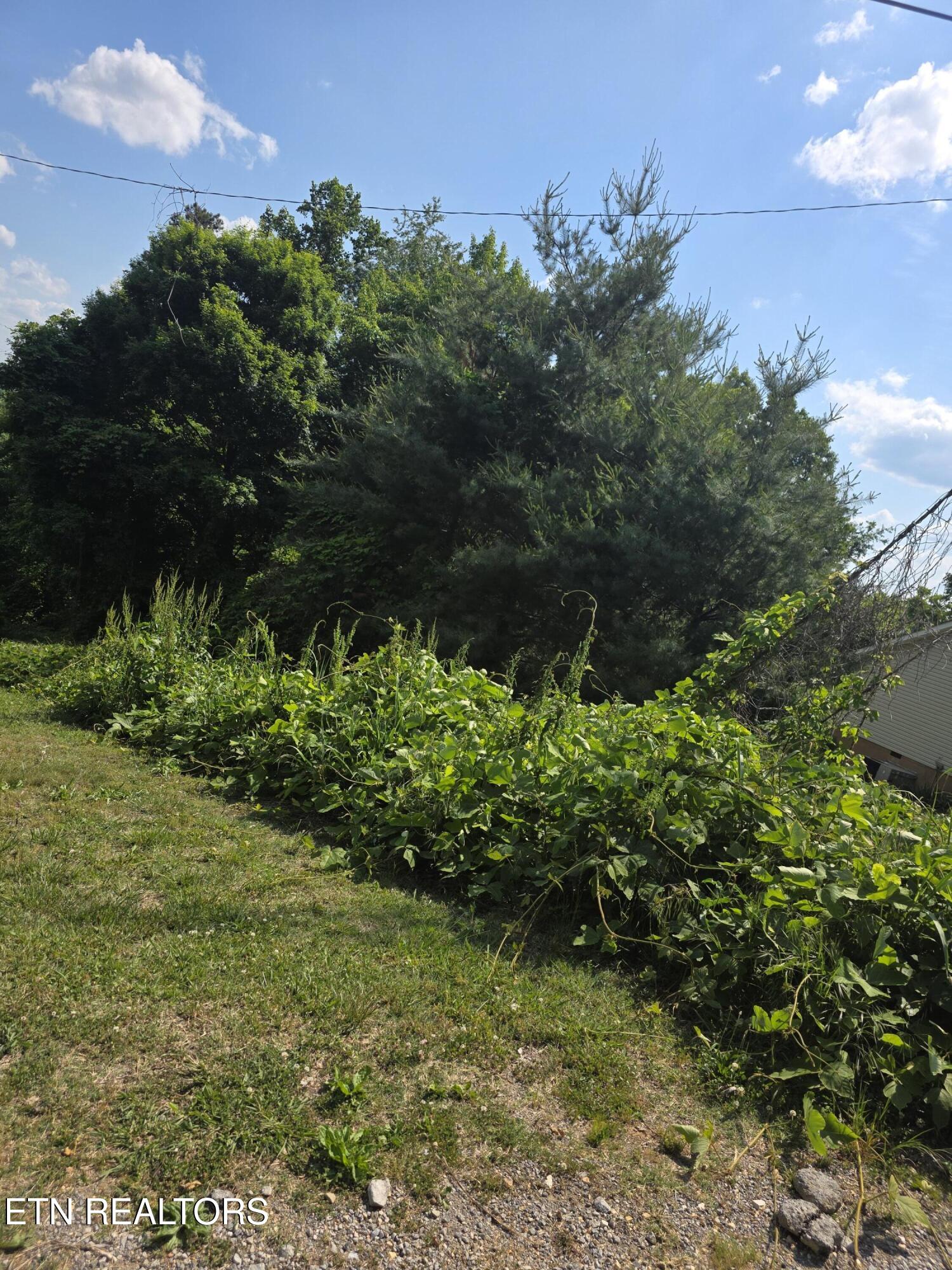 Gregory Lane Maynardville TN 37807