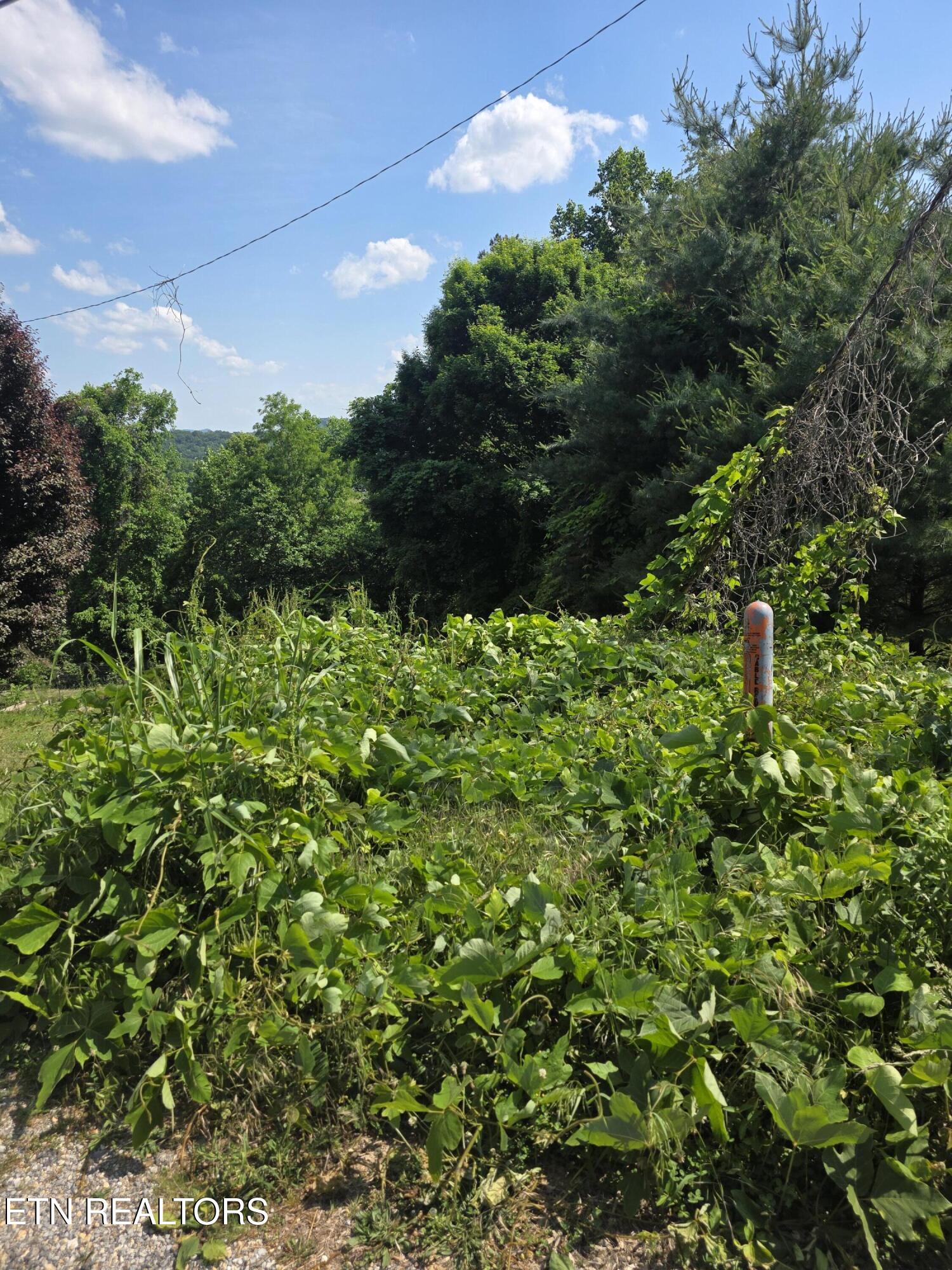 Gregory Lane Maynardville TN 37807