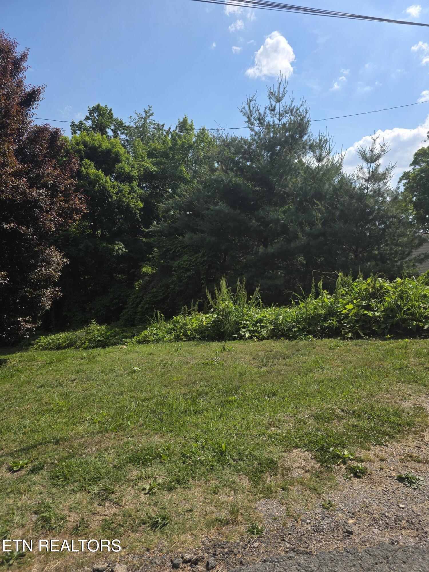 Gregory Lane Maynardville TN 37807