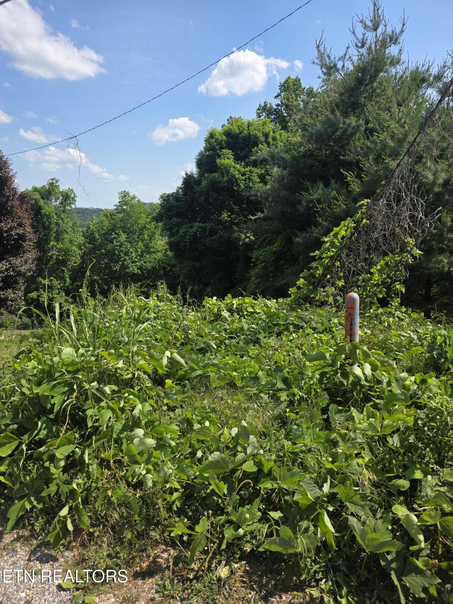 Gregory Lane Maynardville TN 37807