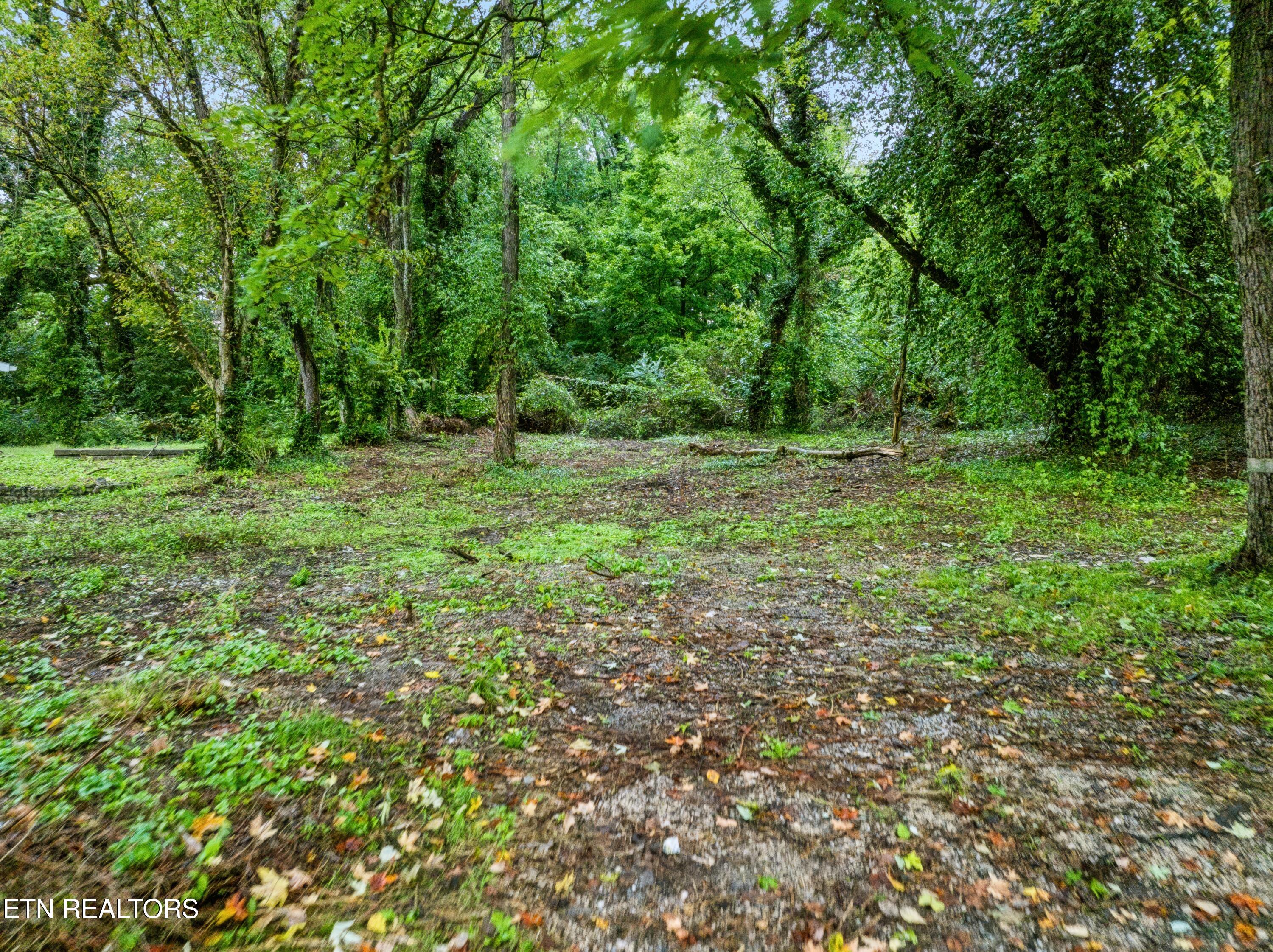 3109 Landview Drive Knoxville TN 37914