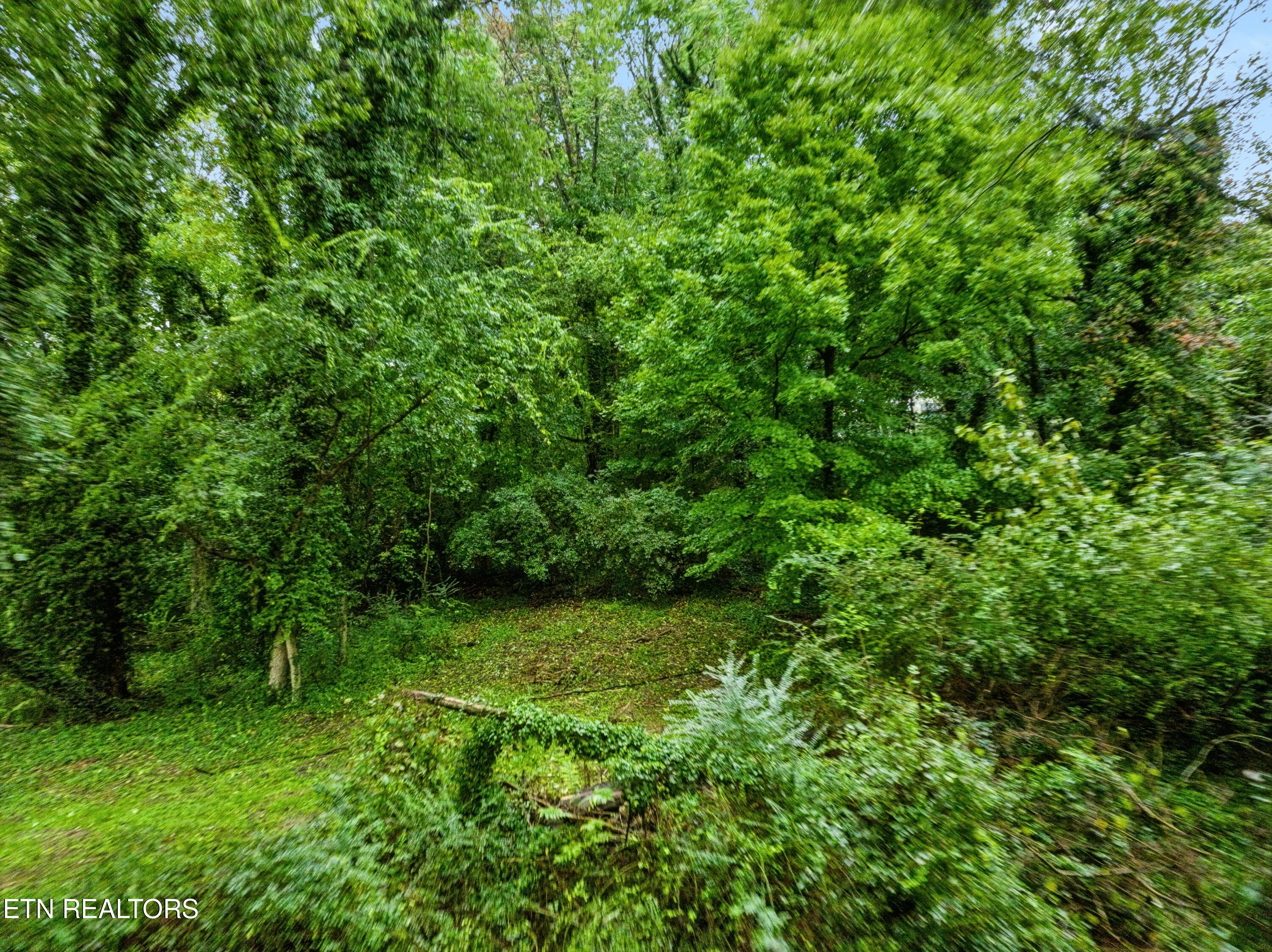 3109 Landview Drive Knoxville TN 37914
