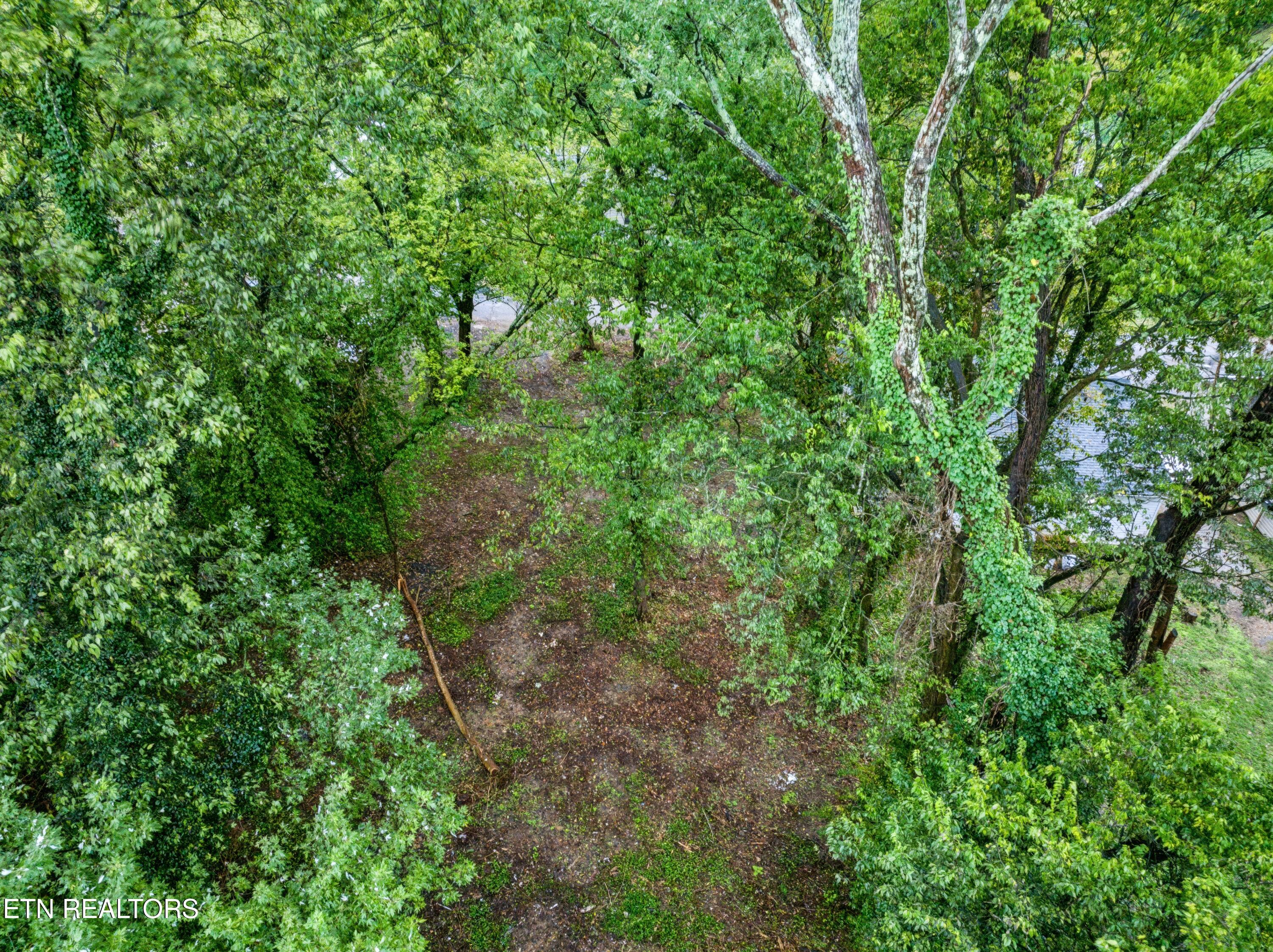 3109 Landview Drive Knoxville TN 37914
