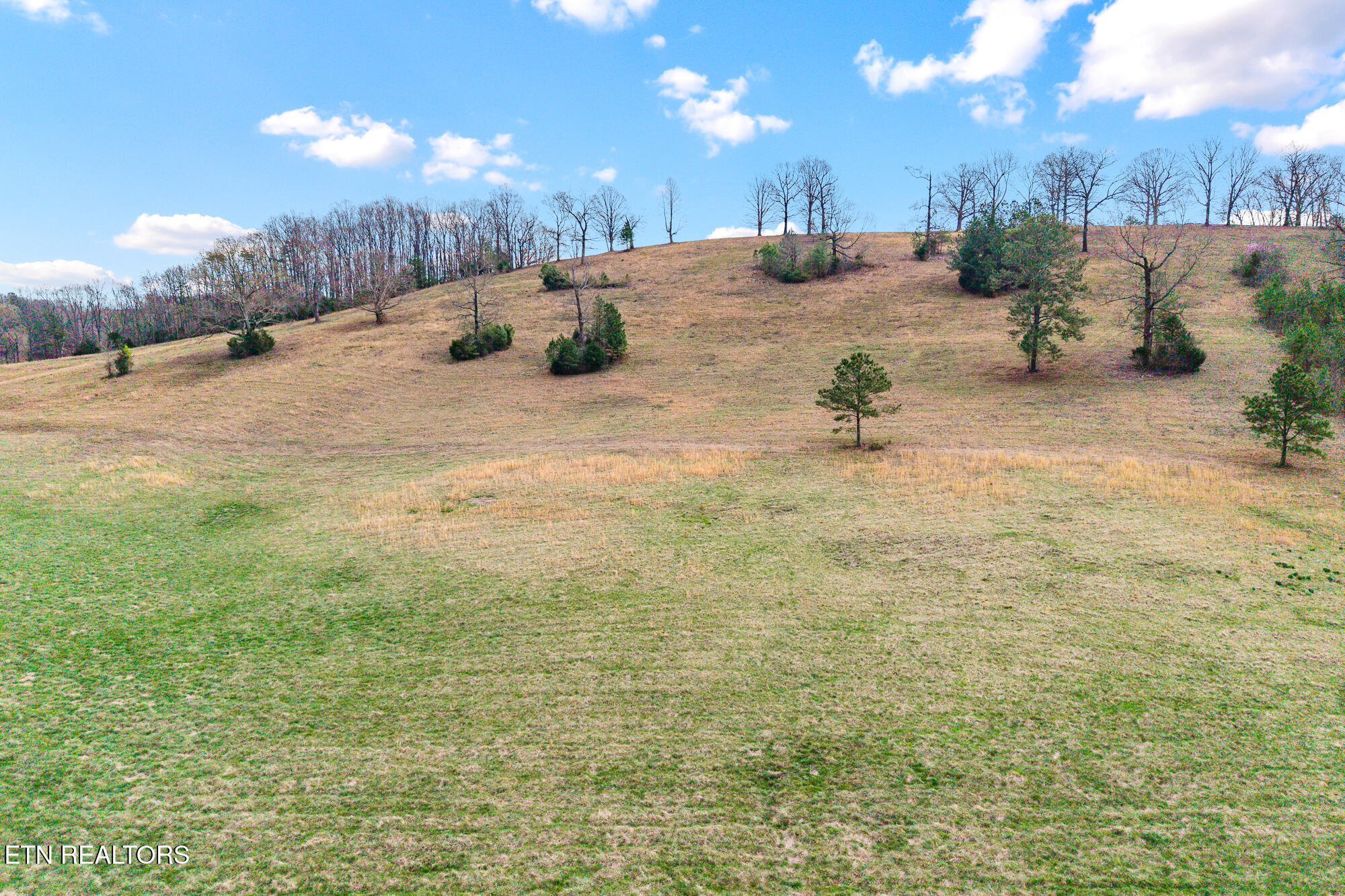 Lot 5 N Nopone Valley Road Decatur TN 37322