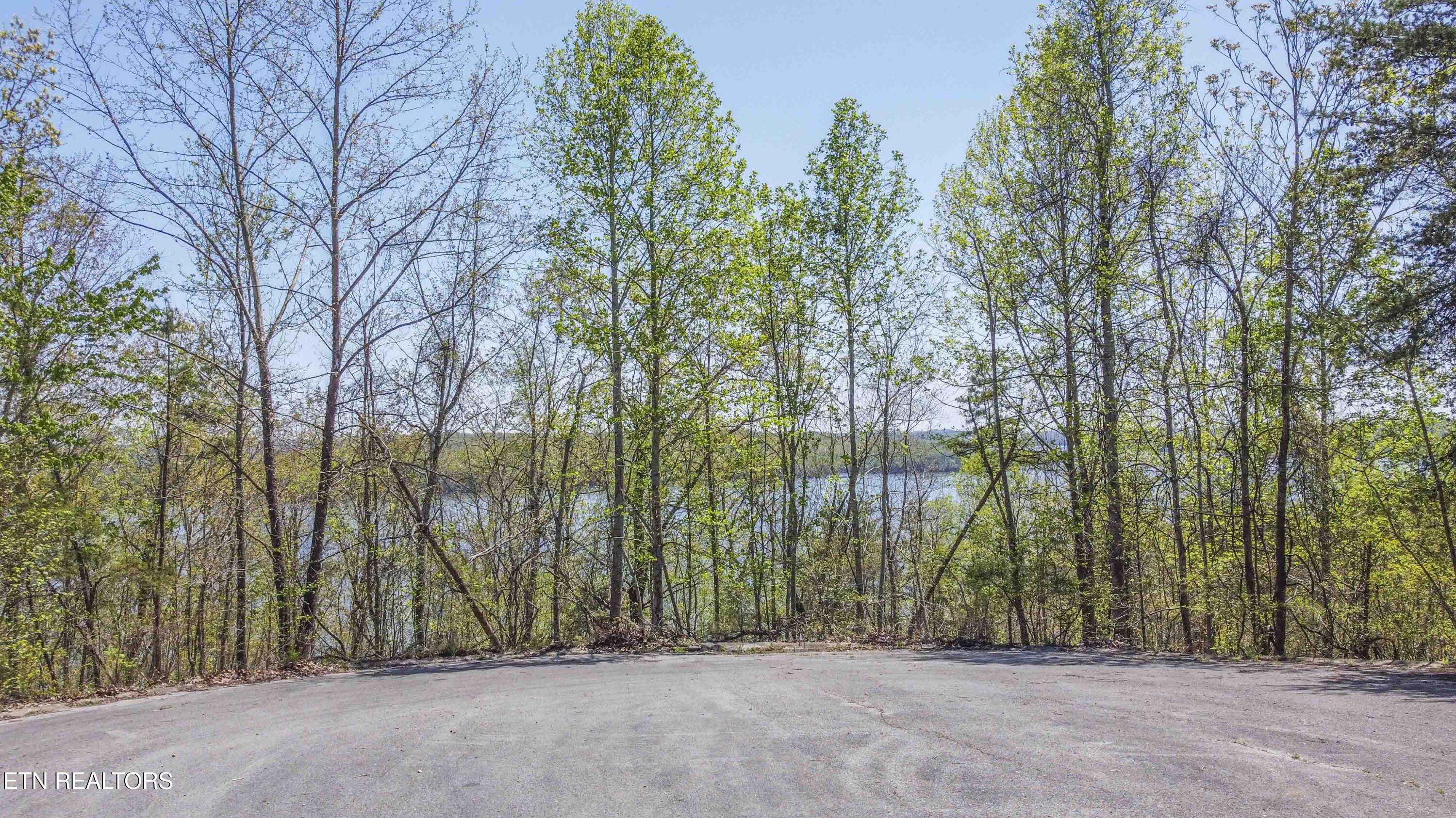 42 Eerie Point Rockwood TN 37854