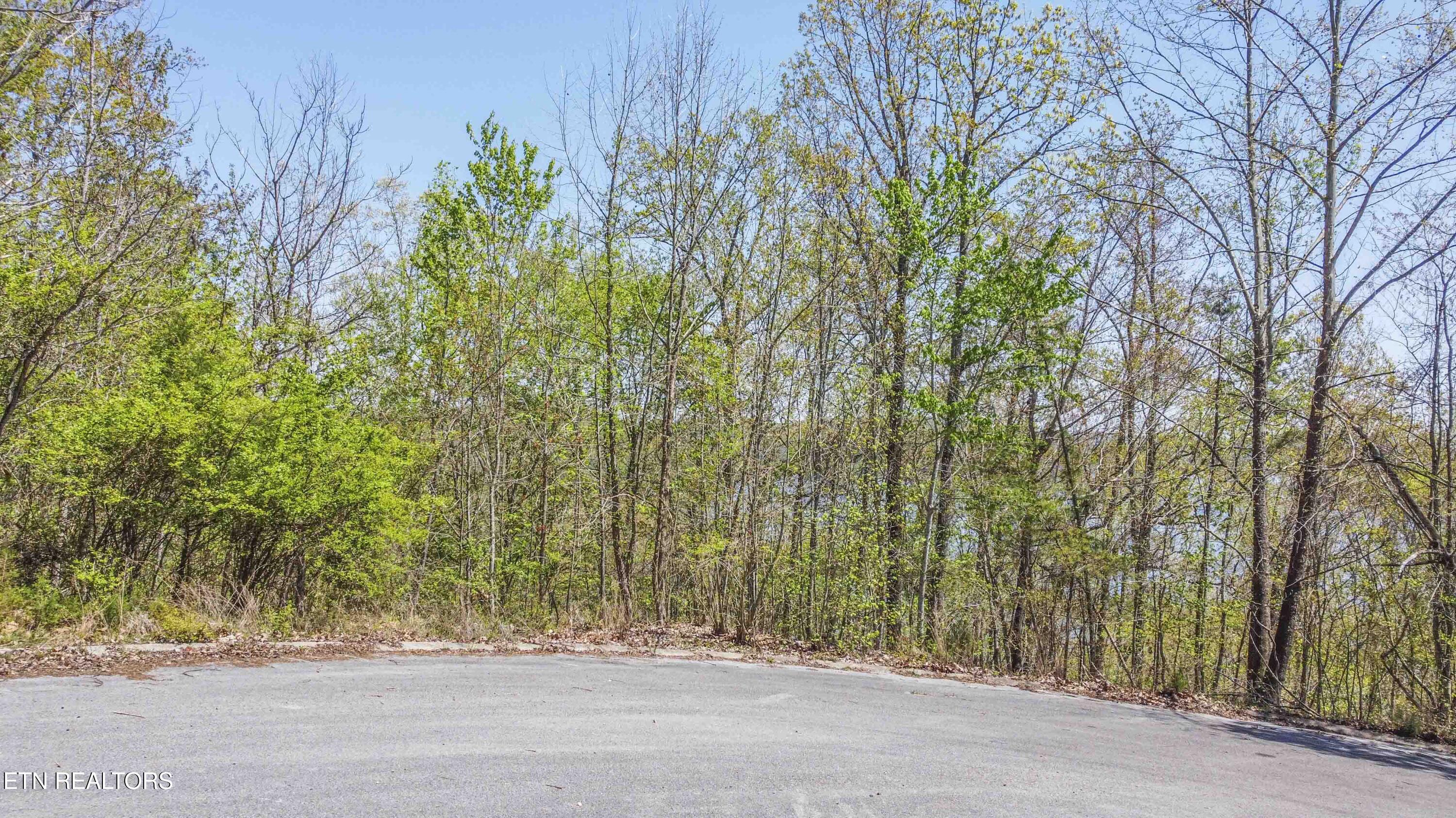 42 Eerie Point Rockwood TN 37854