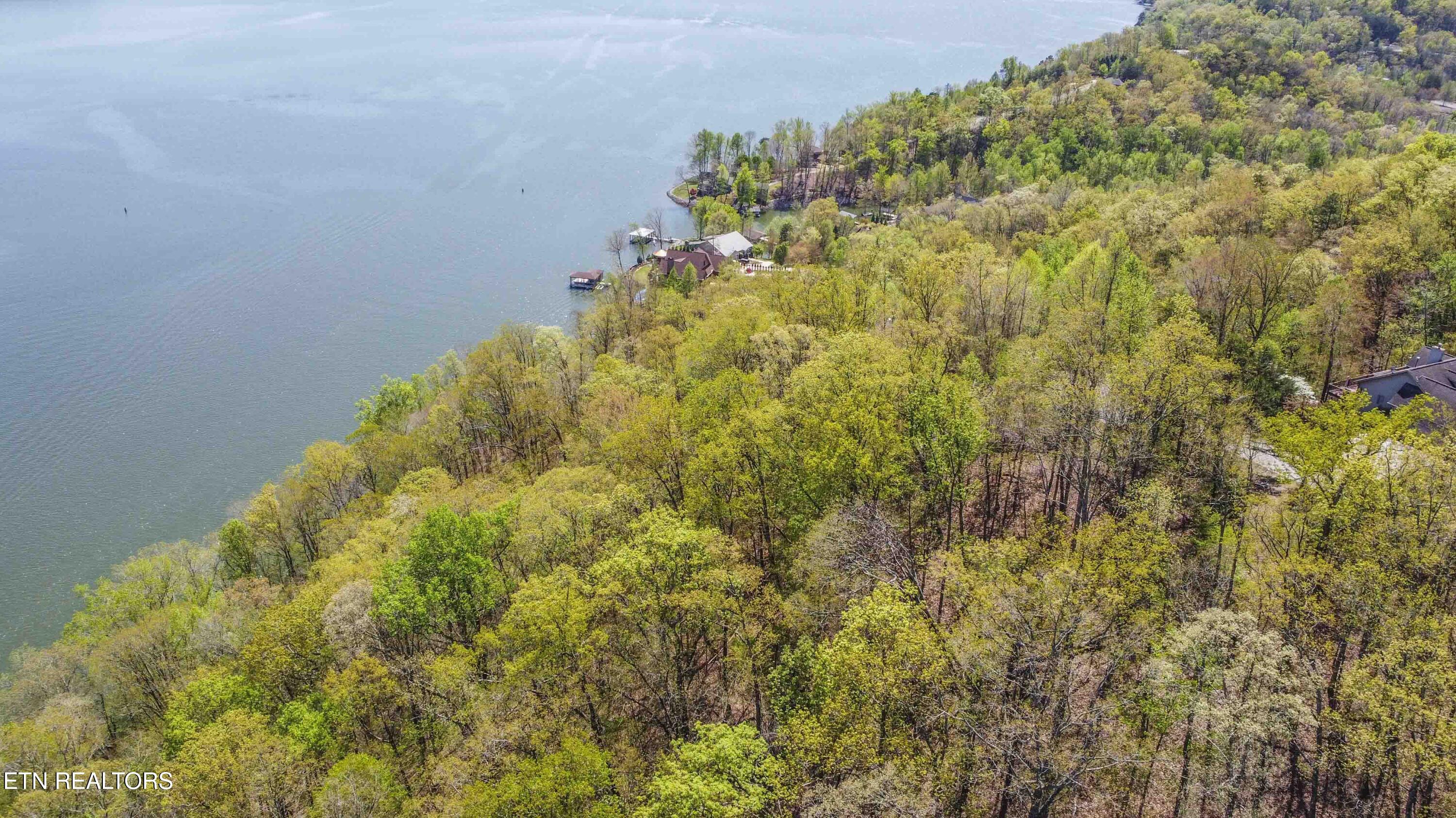 42 Eerie Point Rockwood TN 37854