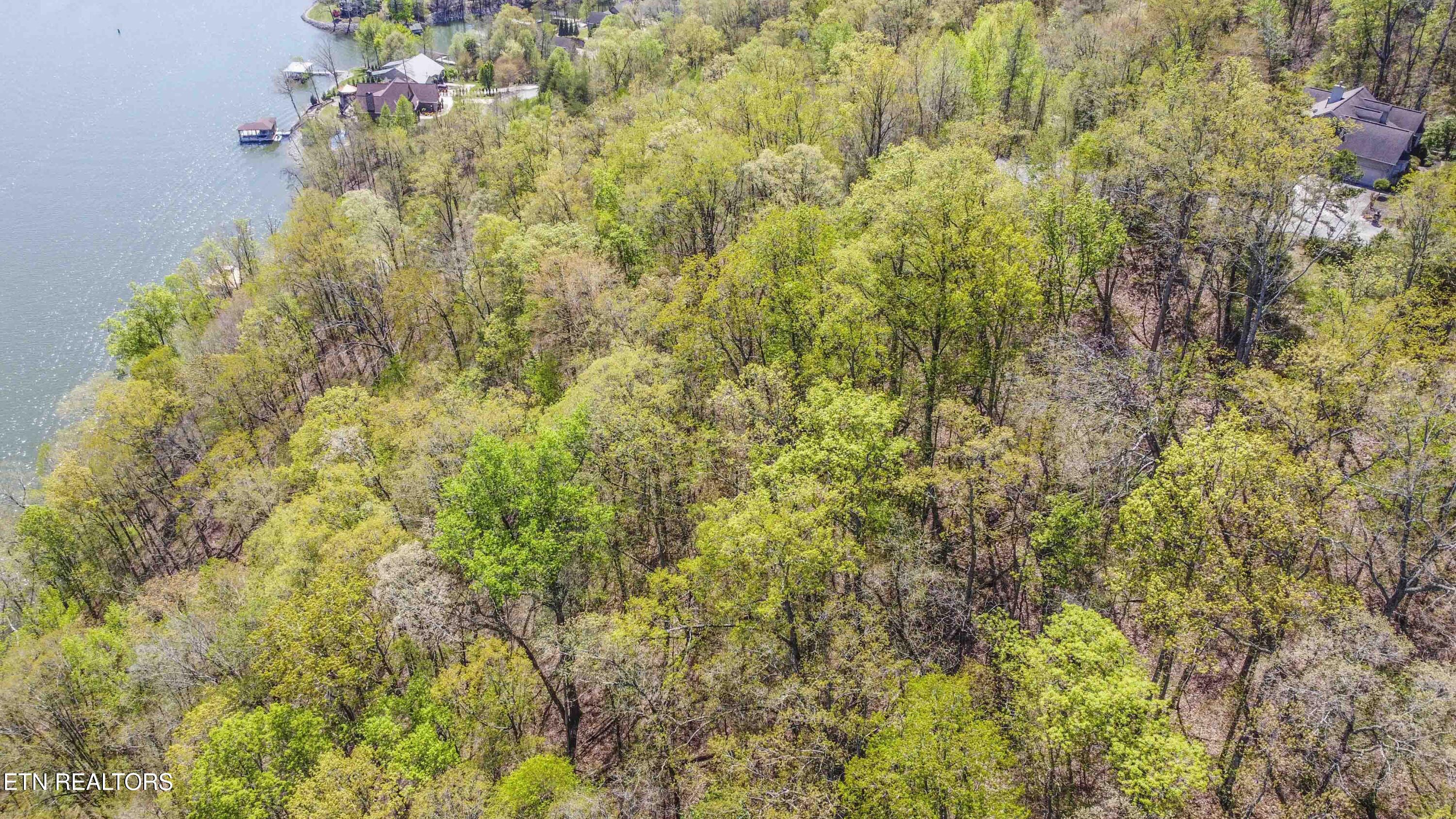 42 Eerie Point Rockwood TN 37854