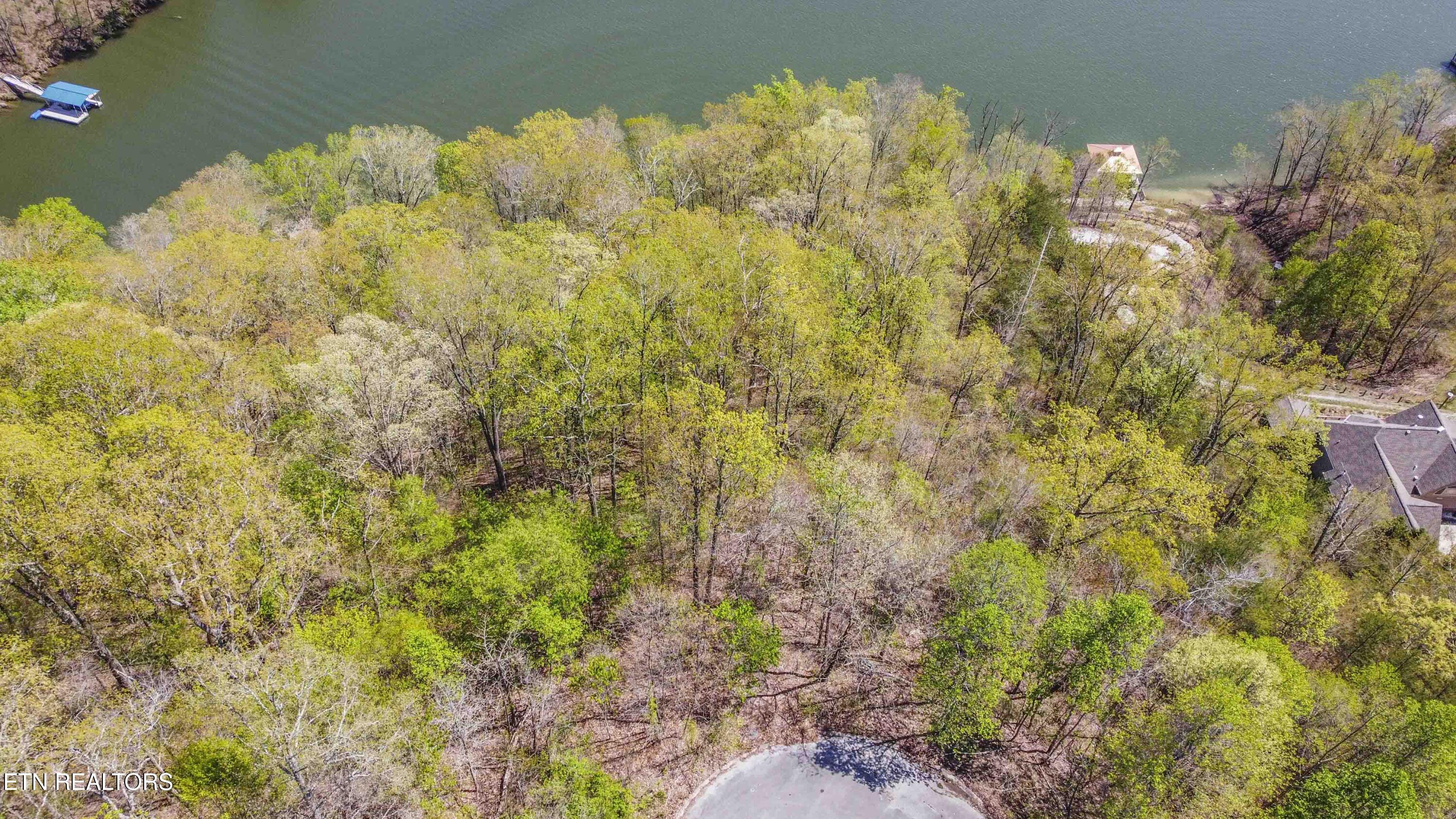 42 Eerie Point Rockwood TN 37854