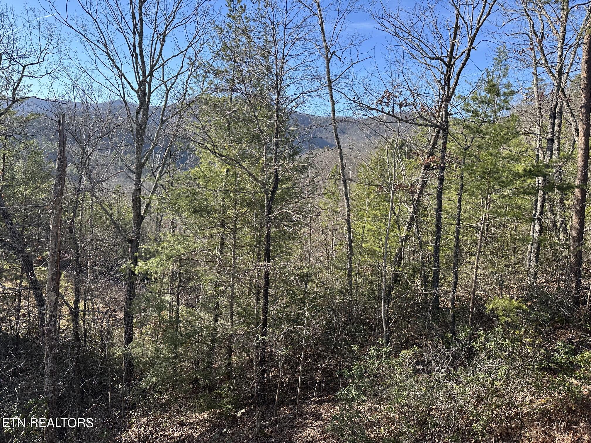 1306 Morning Dove Way Sevierville TN 37862