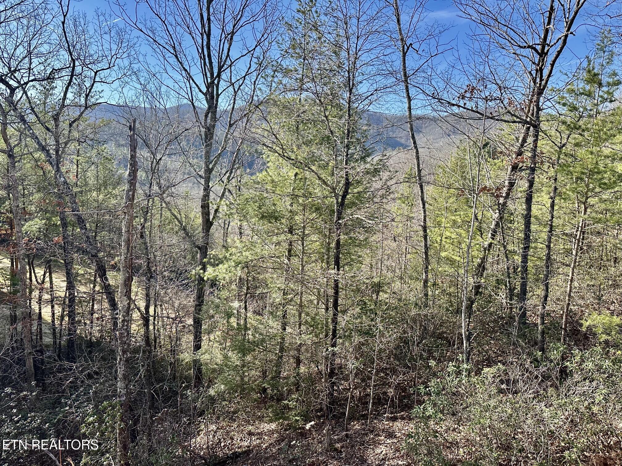 1306 Morning Dove Way Sevierville TN 37862