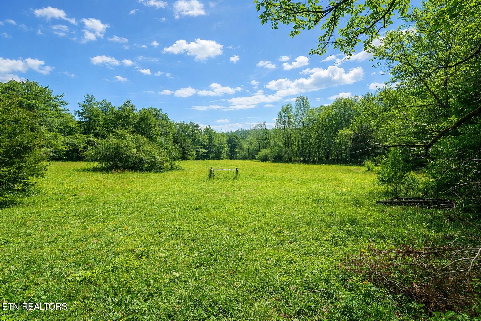 864 E Bullrun Valley Drive Heiskell TN 37754