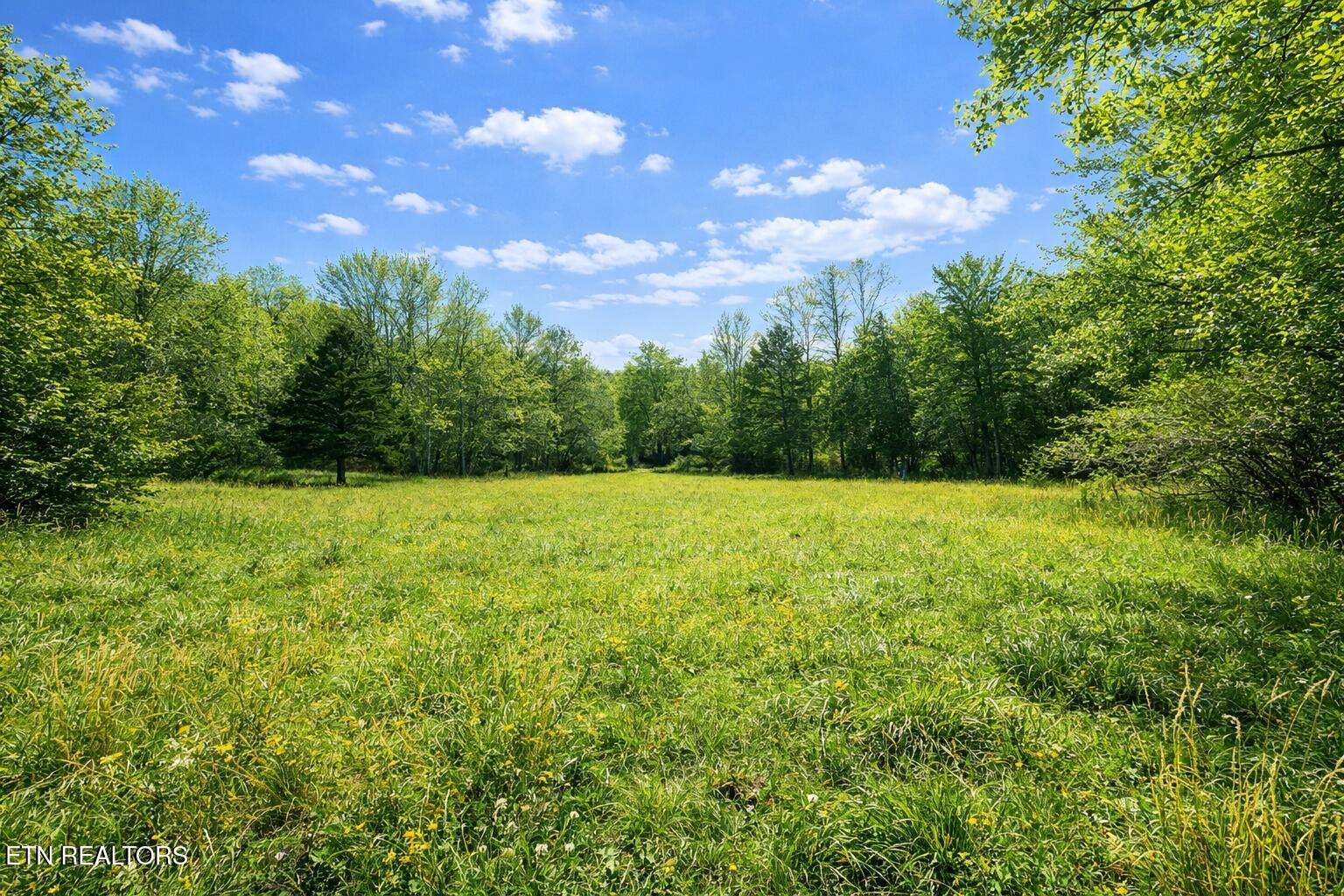864 E Bullrun Valley Drive Heiskell TN 37754