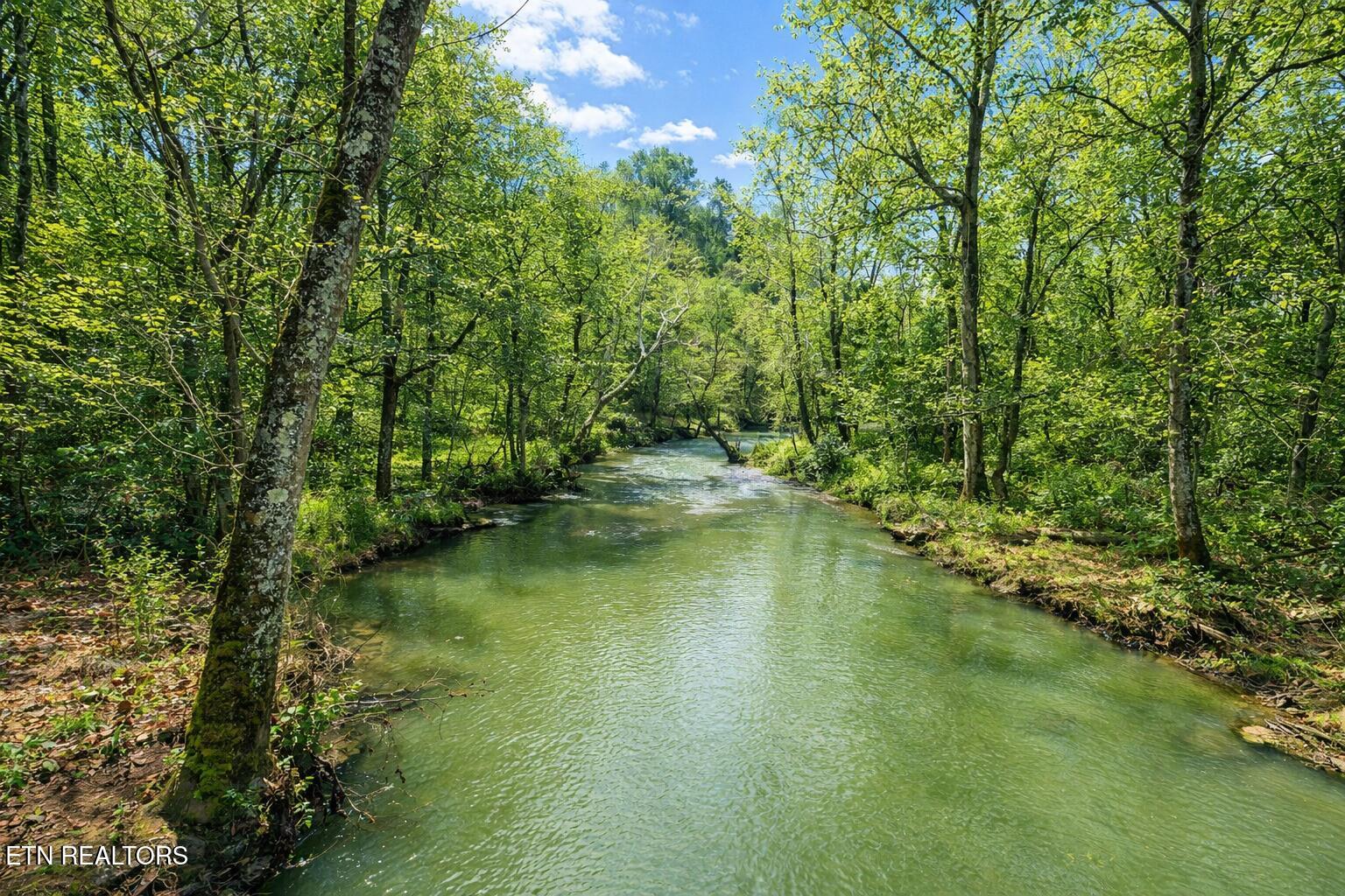 864 E Bullrun Valley Drive Heiskell TN 37754