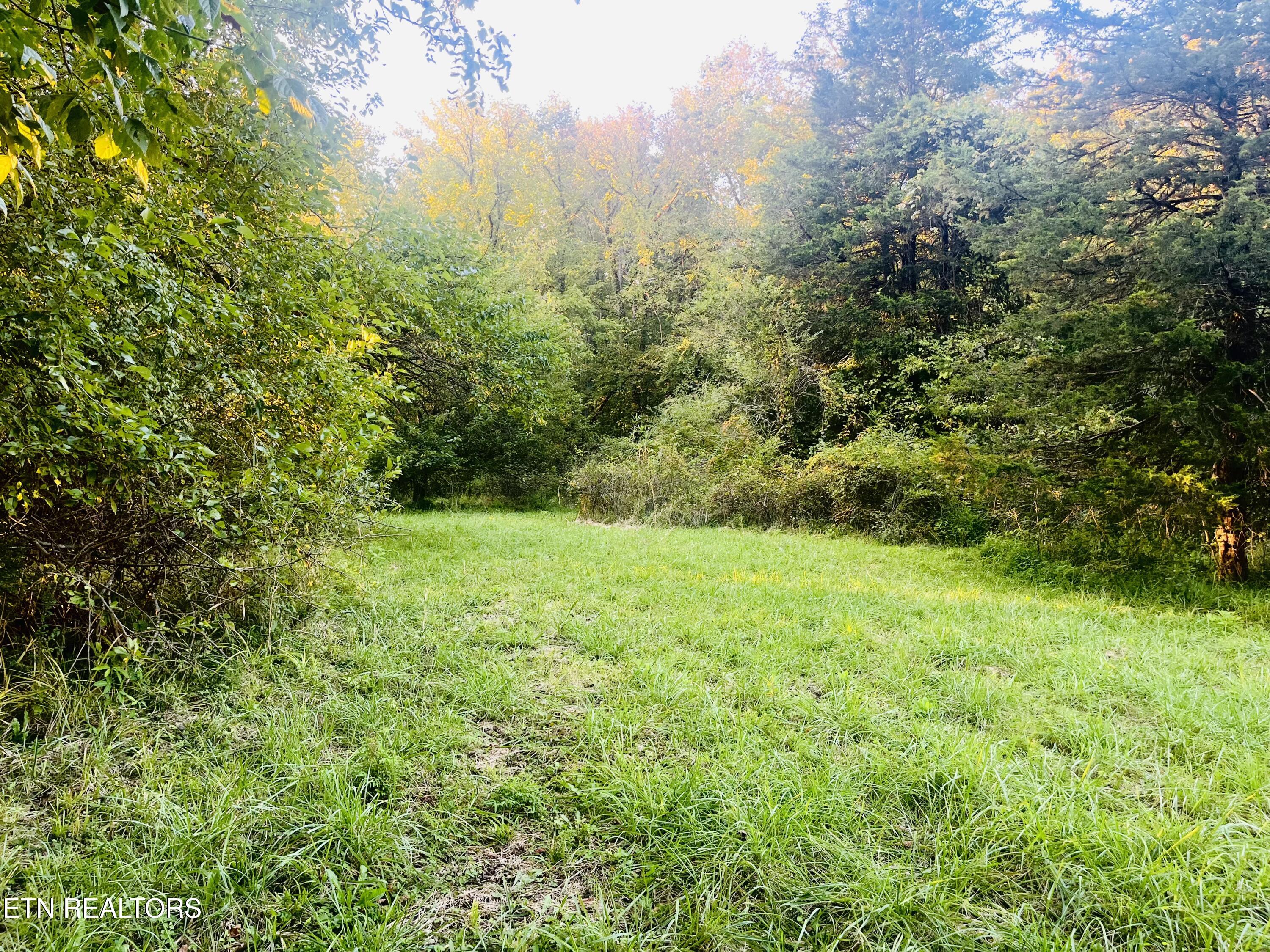 864 E Bullrun Valley Drive Heiskell TN 37754