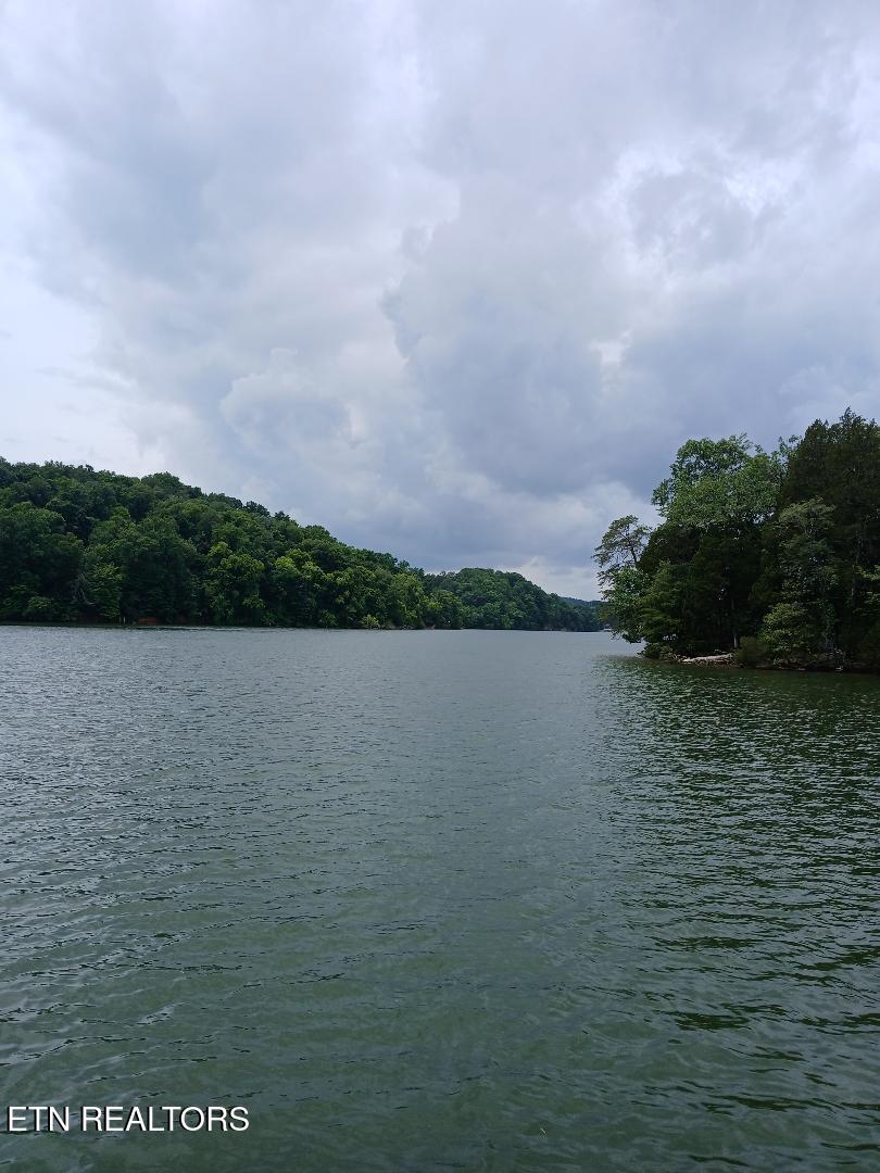 927 Windridge Road Friendsville TN 37737