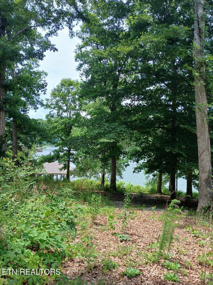 927 Windridge Road Friendsville TN 37737