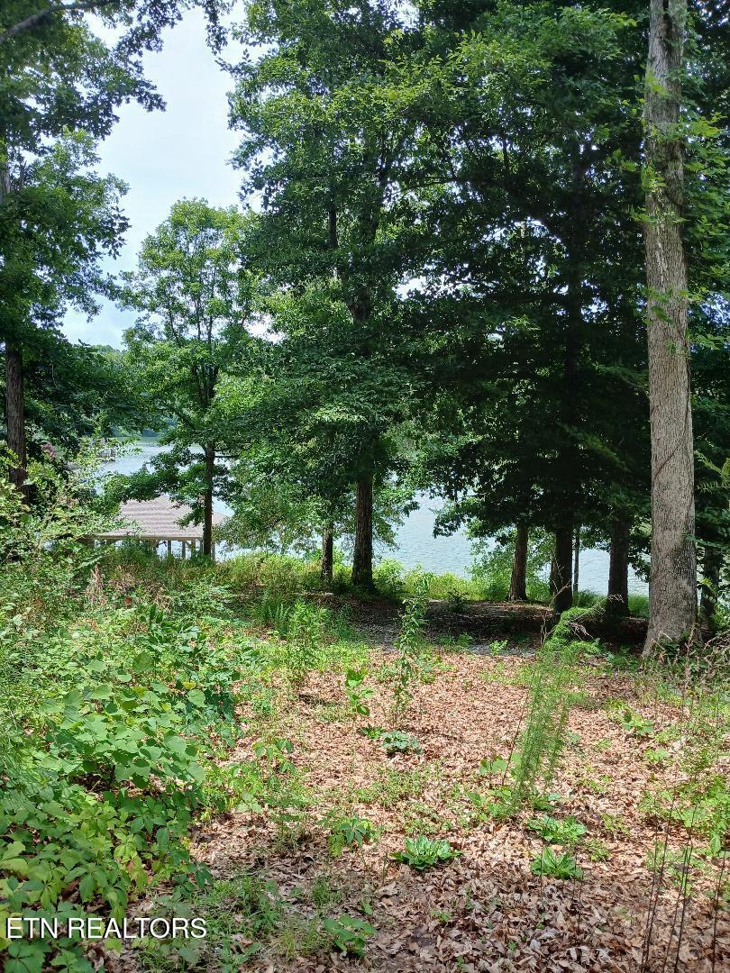 927 Windridge Road Friendsville TN 37737