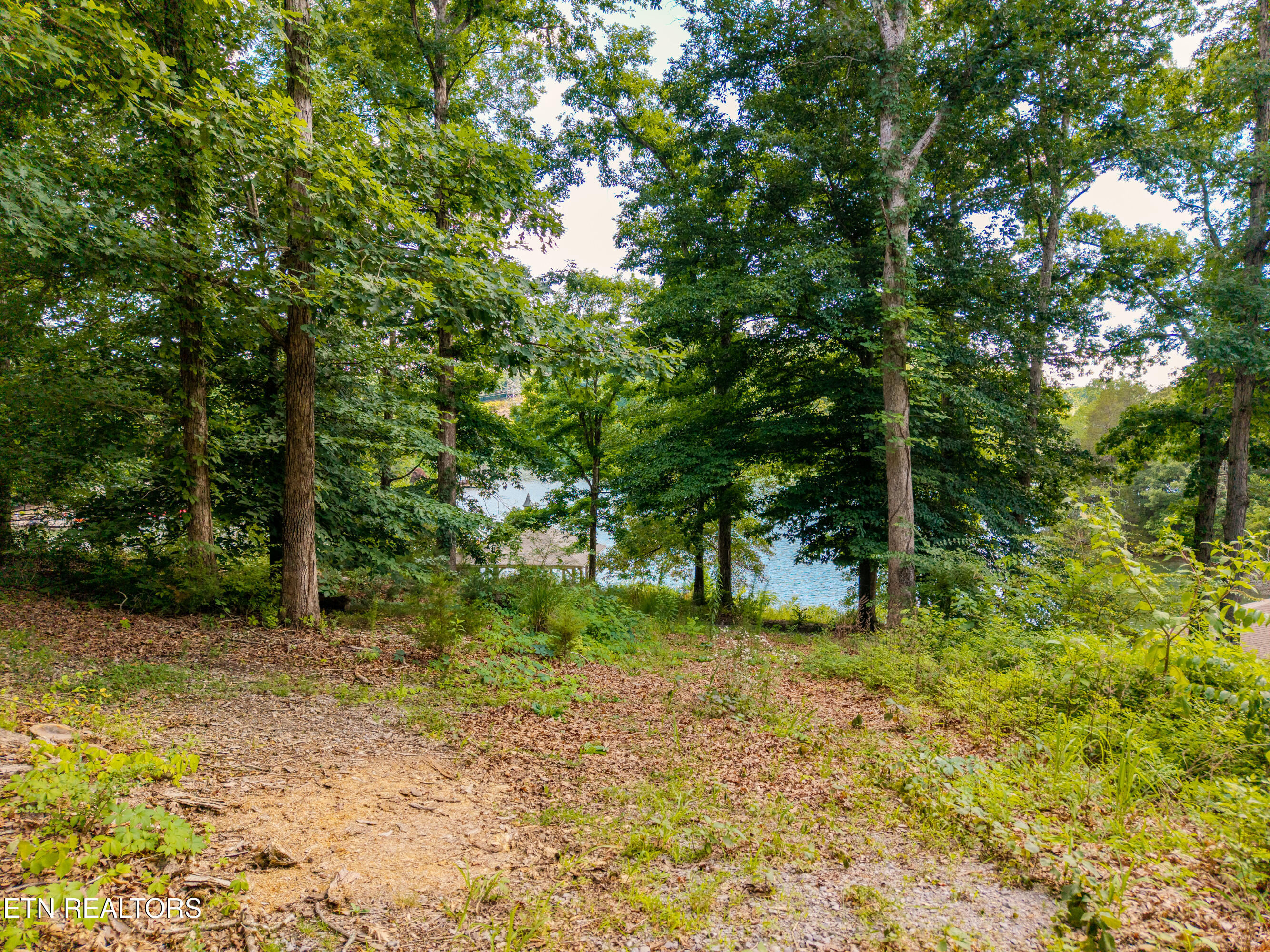 927 Windridge Road Friendsville TN 37737