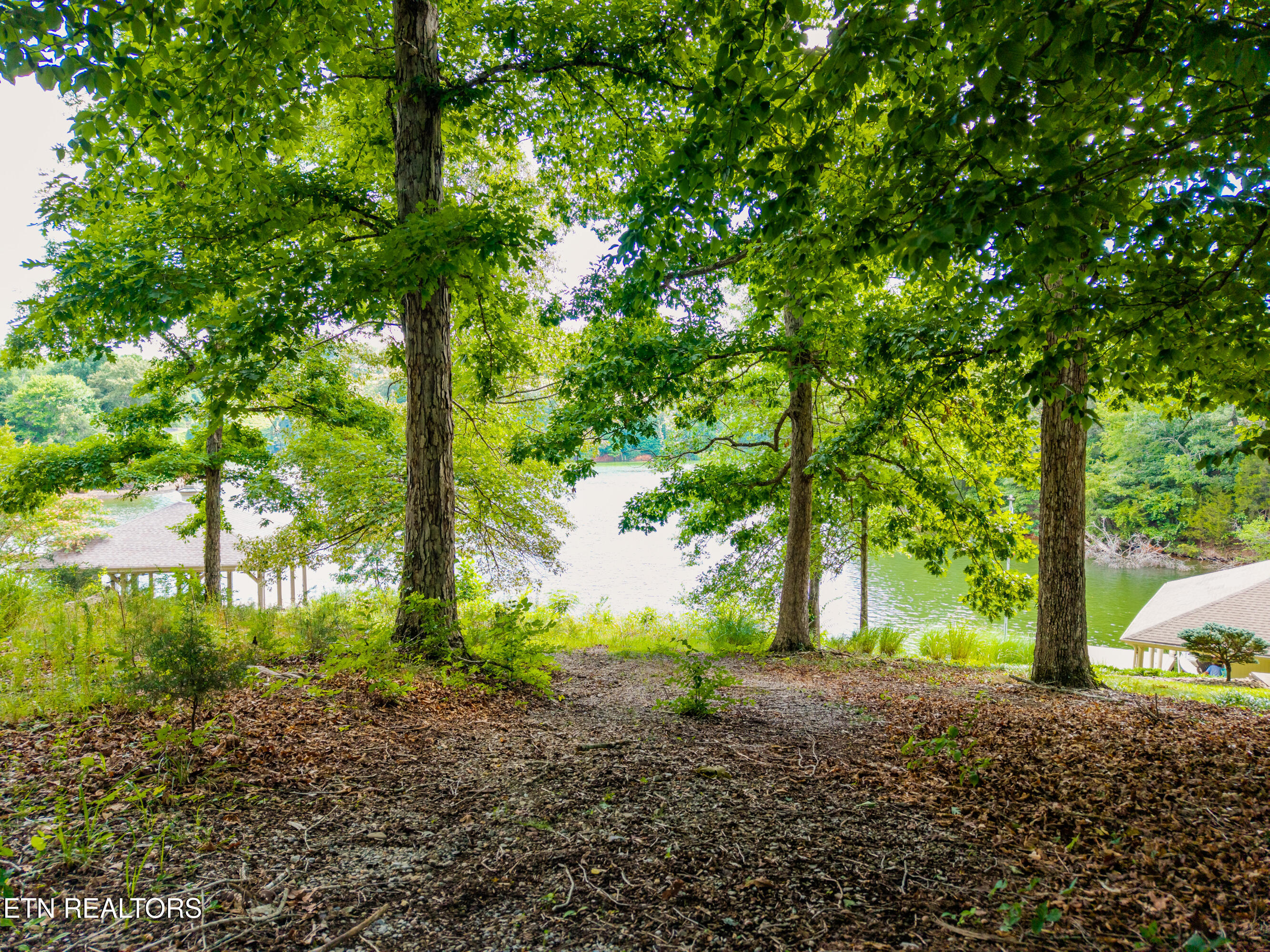 927 Windridge Road Friendsville TN 37737