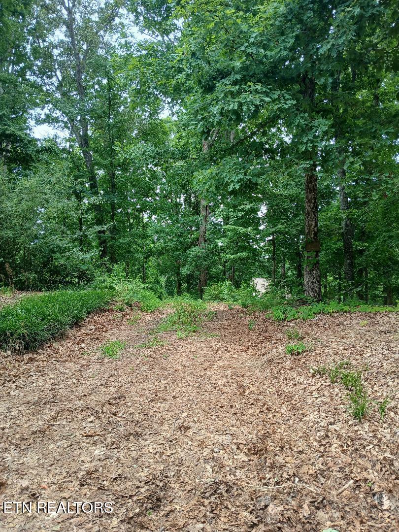 927 Windridge Road Friendsville TN 37737