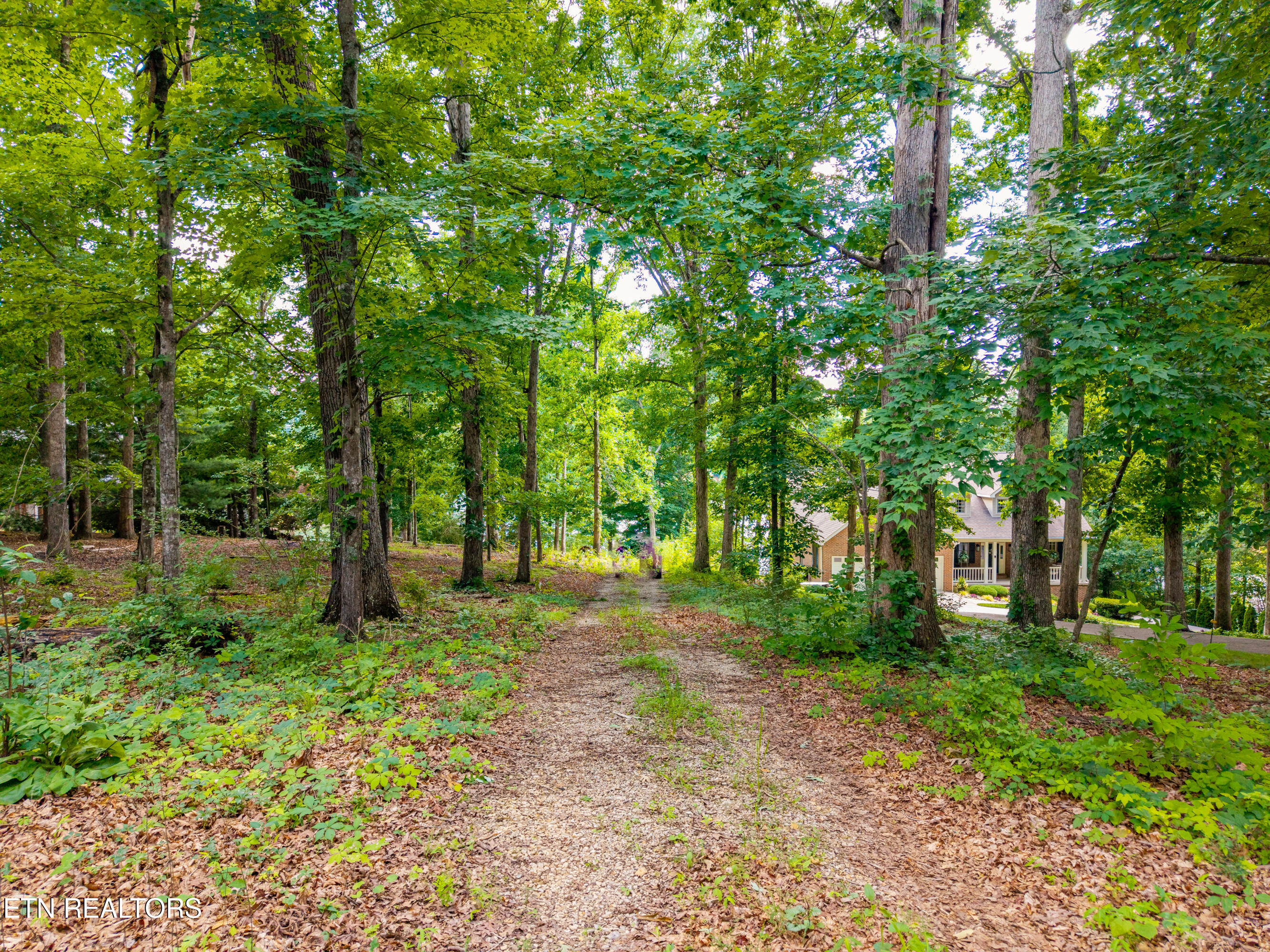 927 Windridge Road Friendsville TN 37737