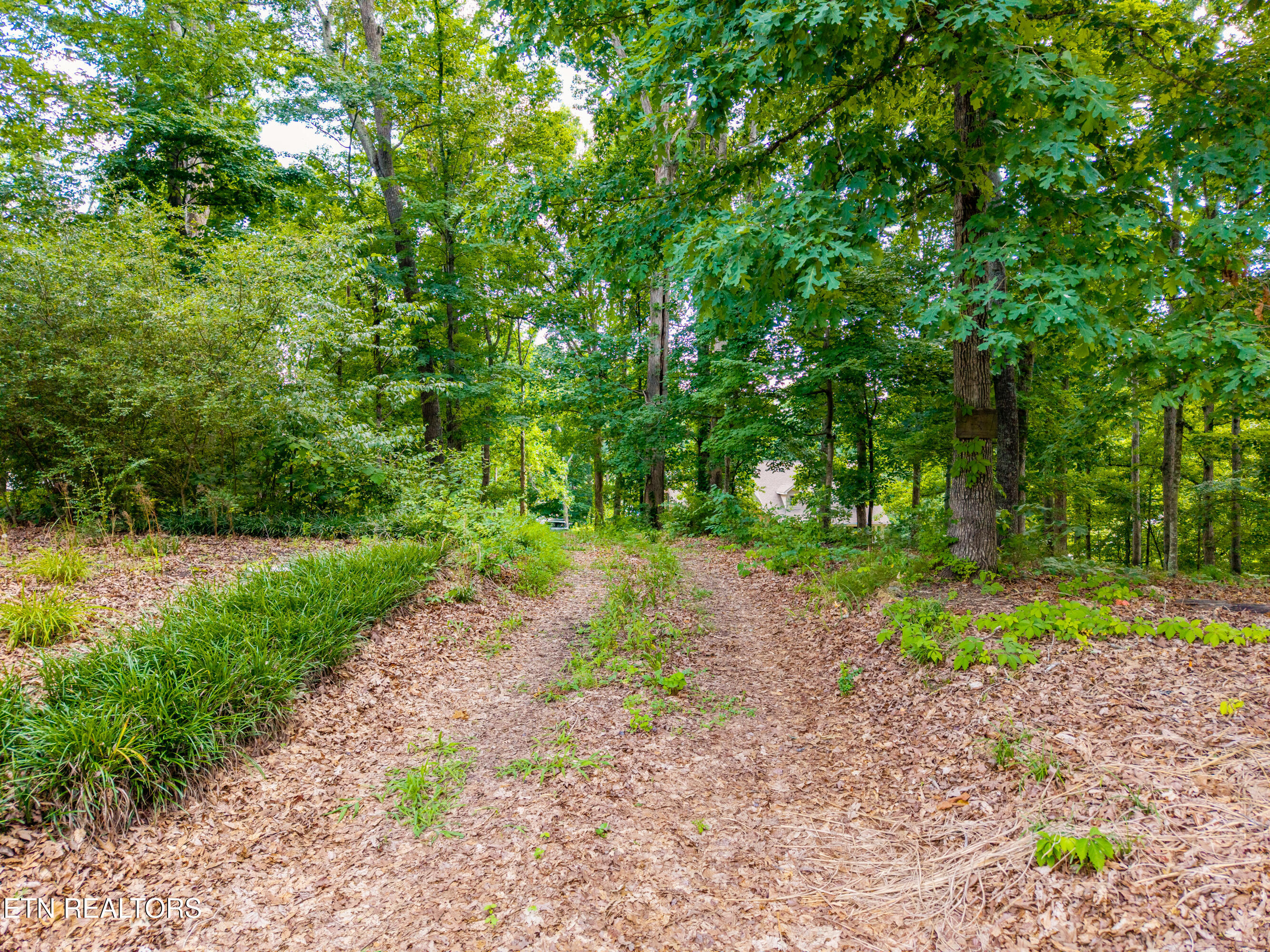 927 Windridge Road Friendsville TN 37737