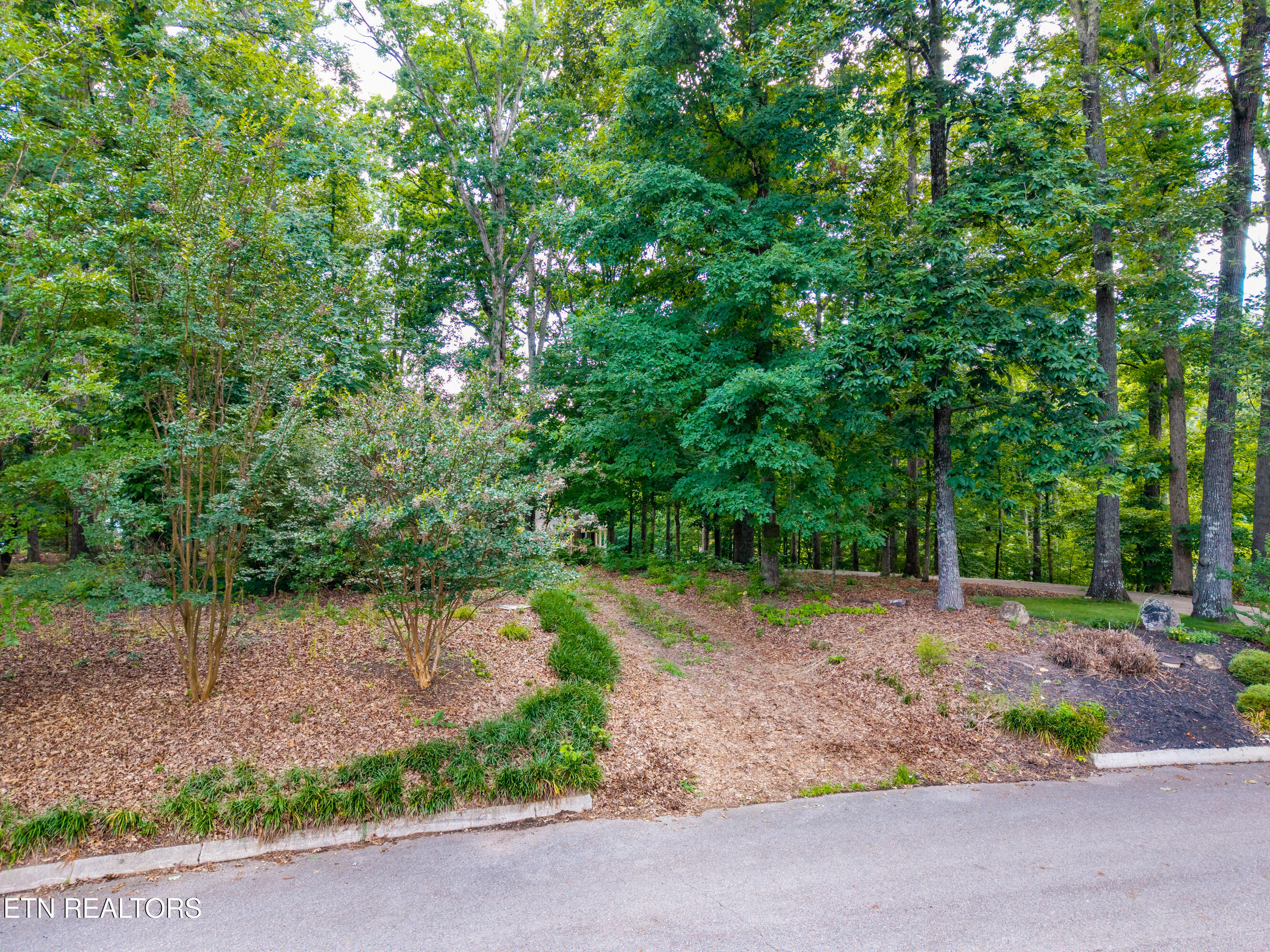 927 Windridge Road Friendsville TN 37737