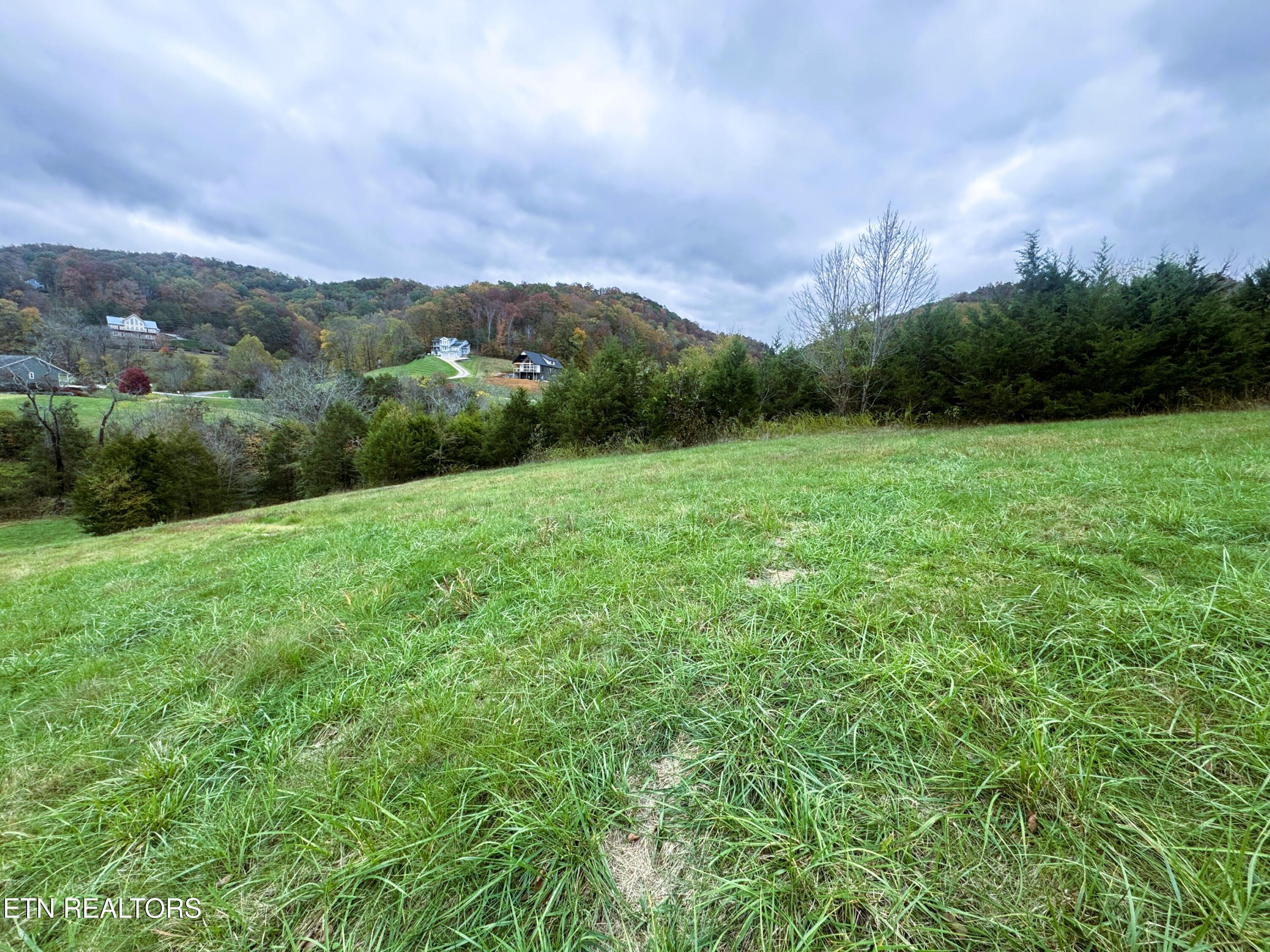 Lot 223 Nikki Street Sharps Chapel TN 37866