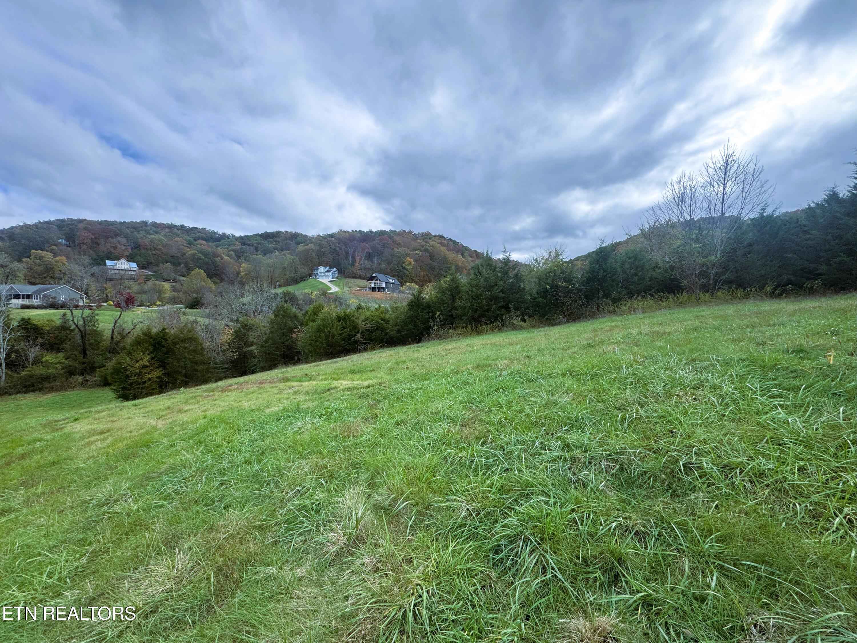 Lot 223 Nikki Street Sharps Chapel TN 37866