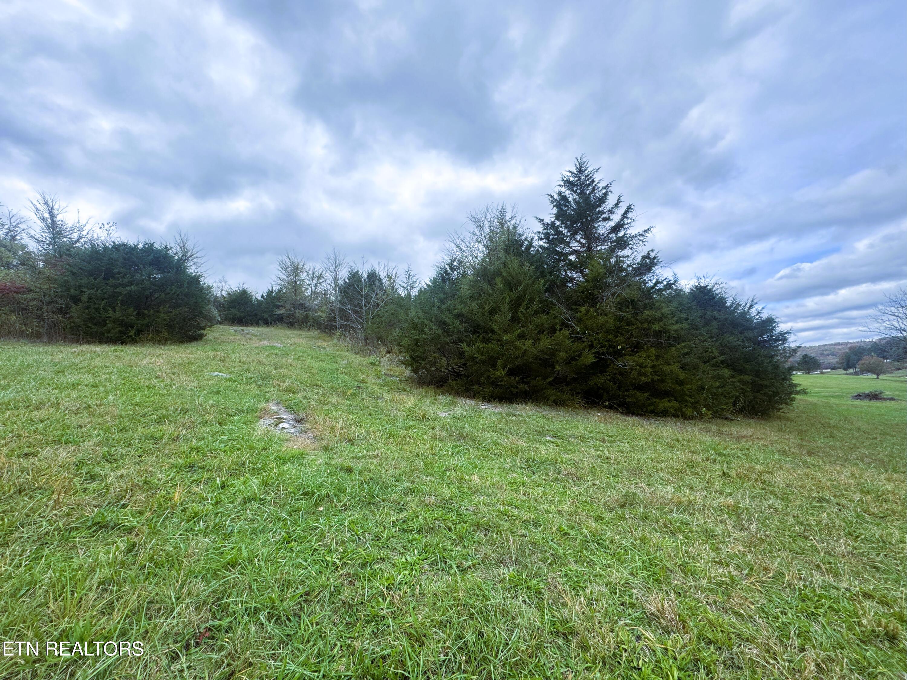 Lot 223 Nikki Street Sharps Chapel TN 37866