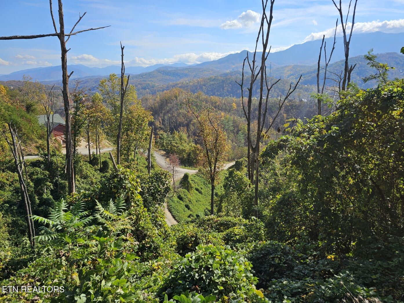 639 Kristis Place Gatlinburg TN 37738
