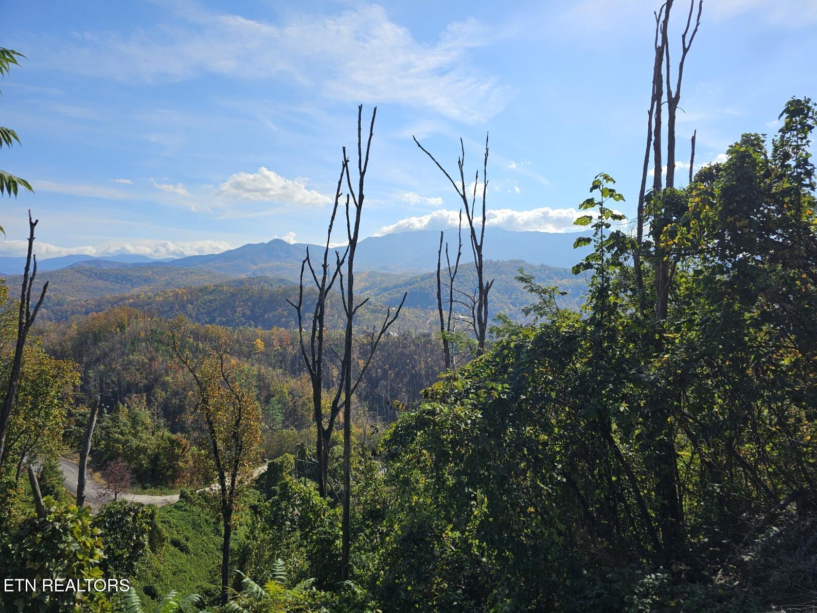 639 Kristis Place Gatlinburg TN 37738