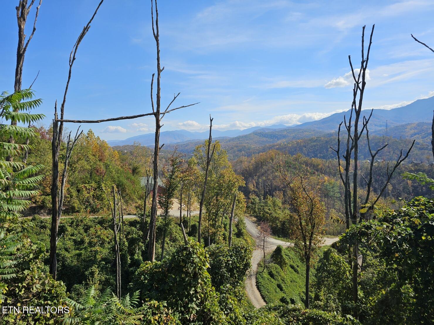 639 Kristis Place Gatlinburg TN 37738