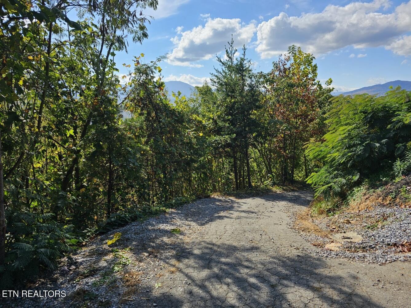 639 Kristis Place Gatlinburg TN 37738