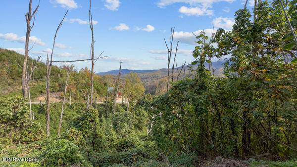639 Kristis Place Gatlinburg TN 37738