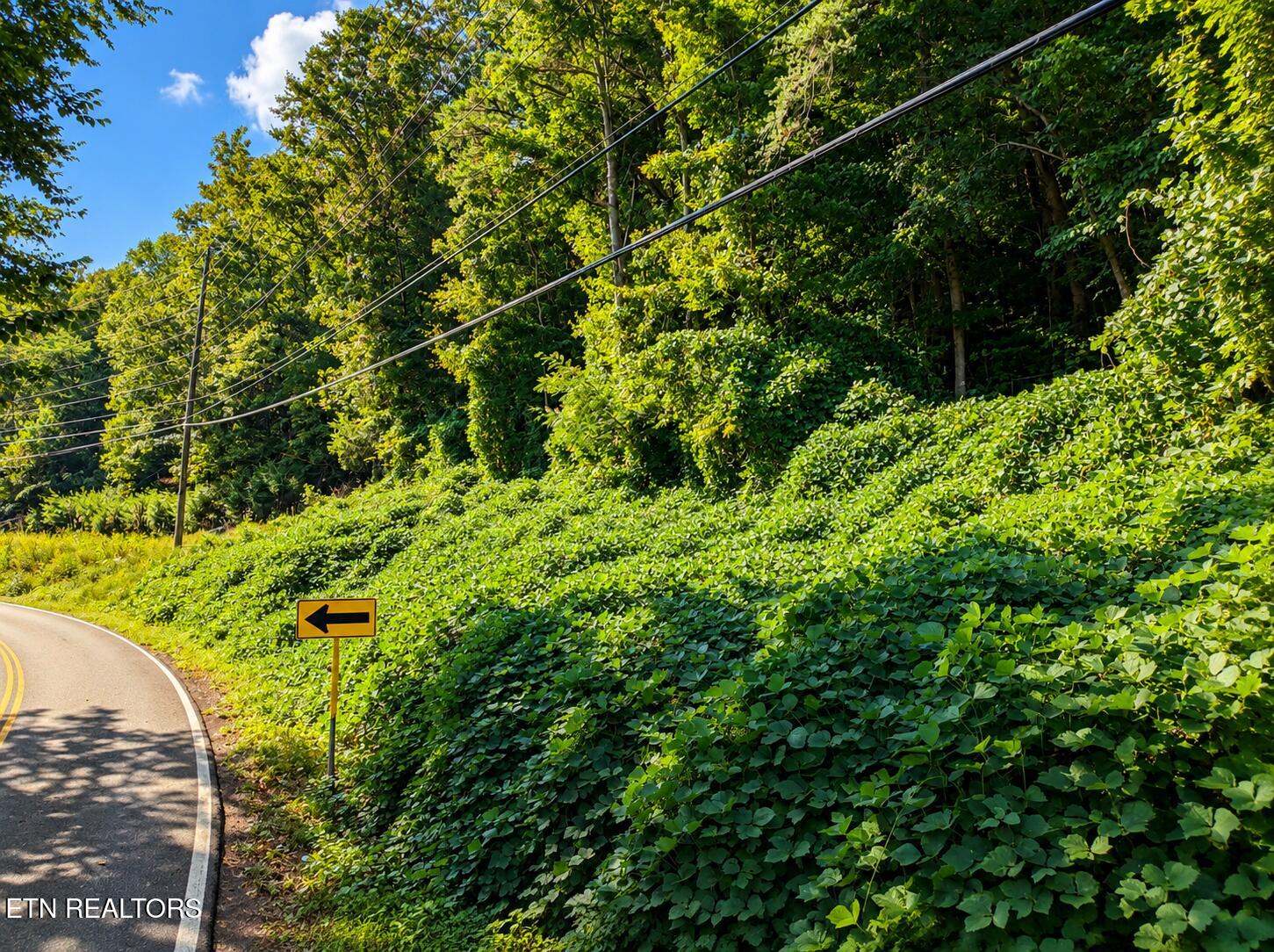 Lot 1 & 2 Pittman Center Road Sevierville TN 37876