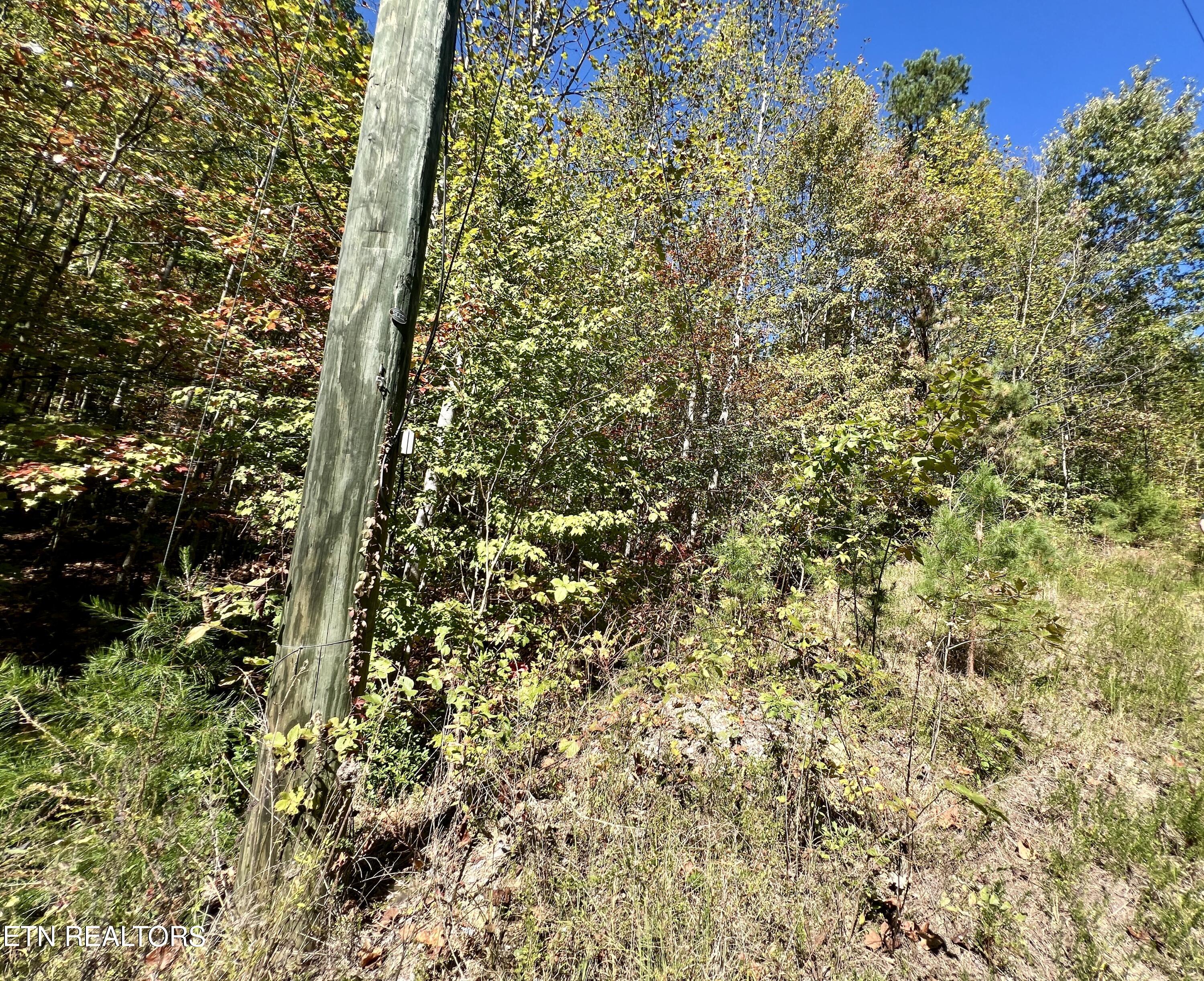 P 20.15 Creek Hollow Way Sevierville TN 37876